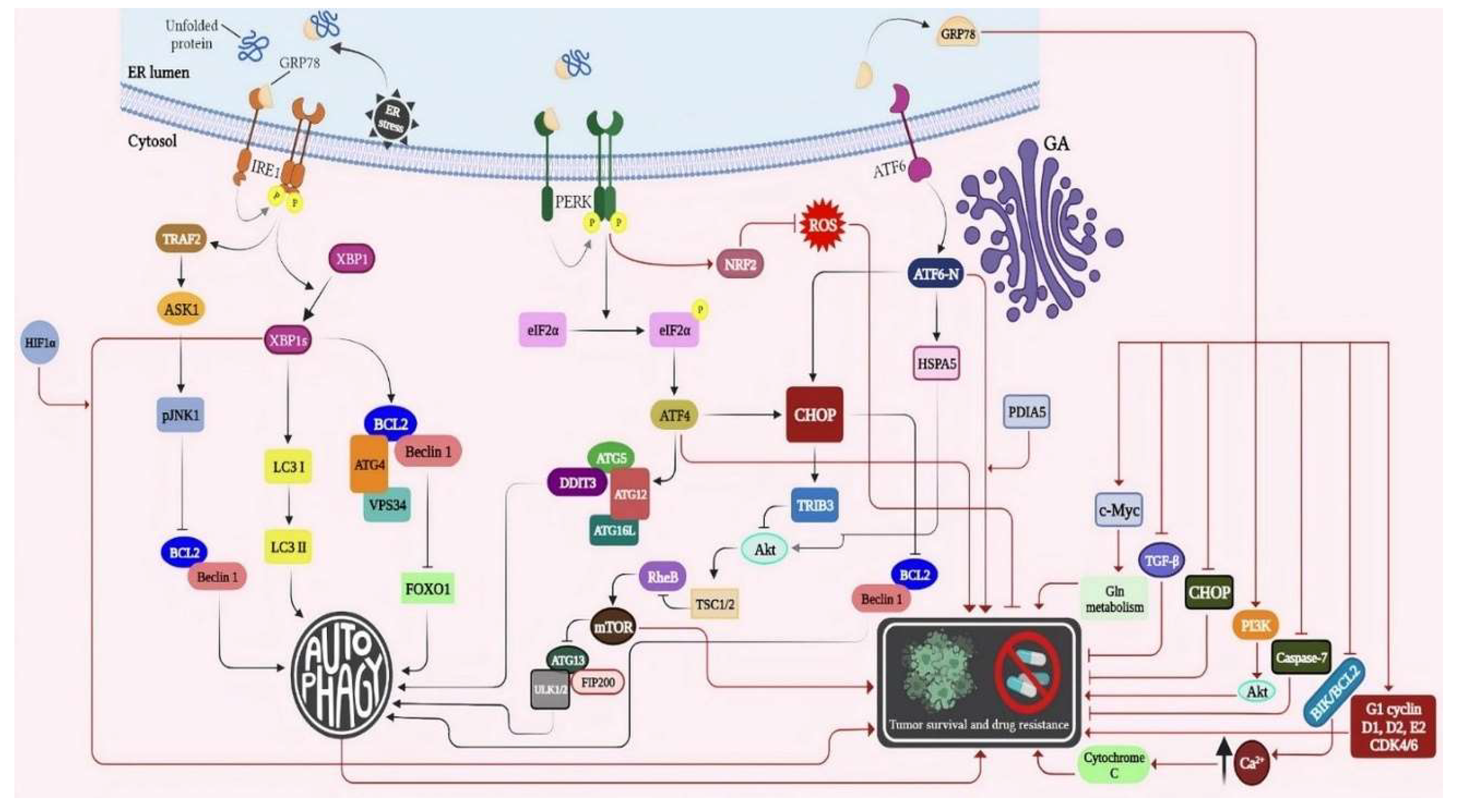 Preprints 95111 g003