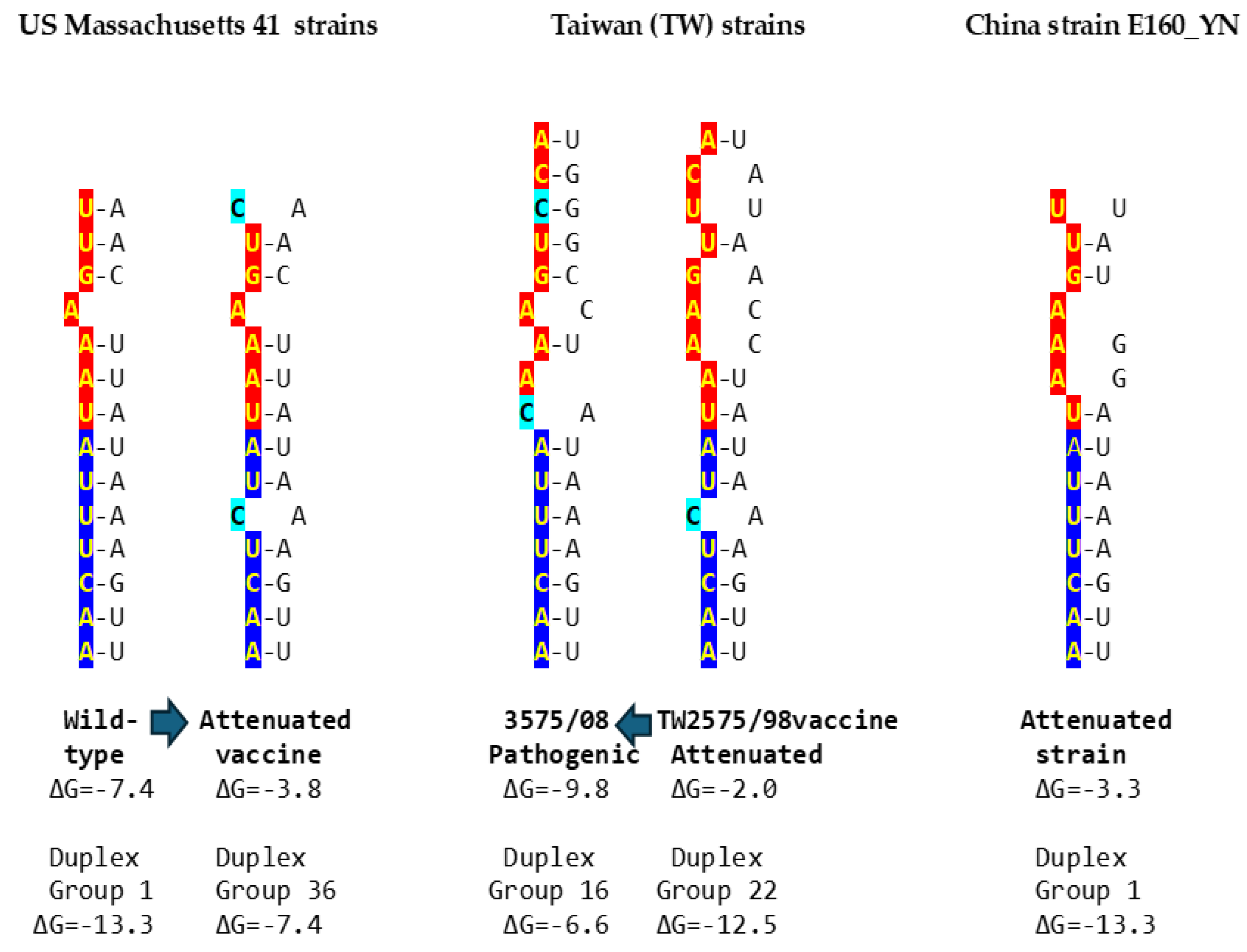 Preprints 110372 g005