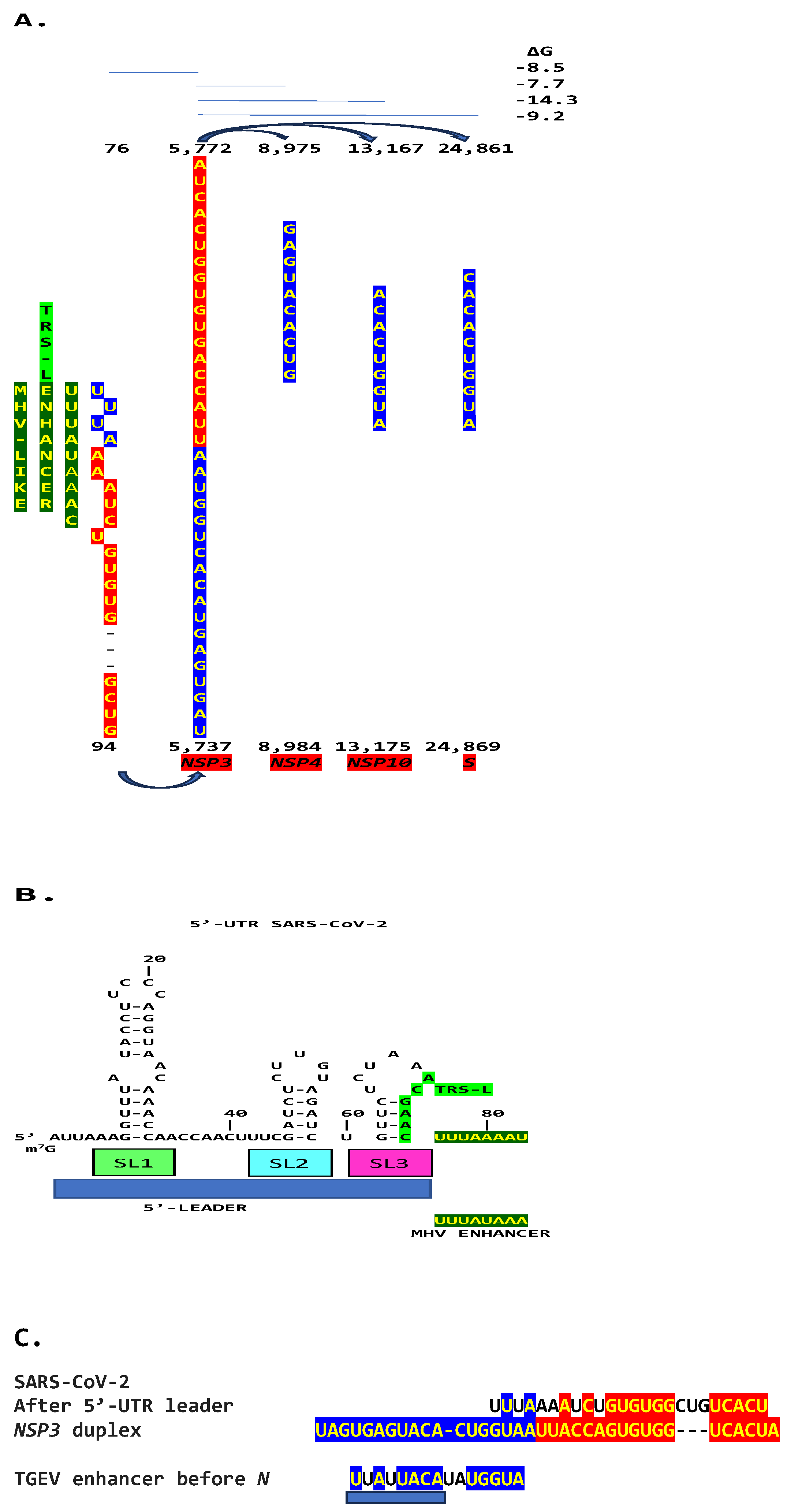 Preprints 110372 g010