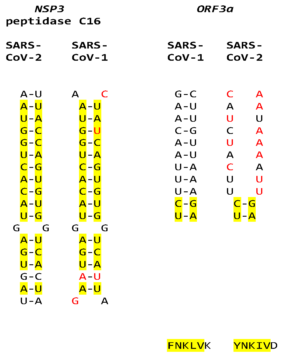 Preprints 110372 g015