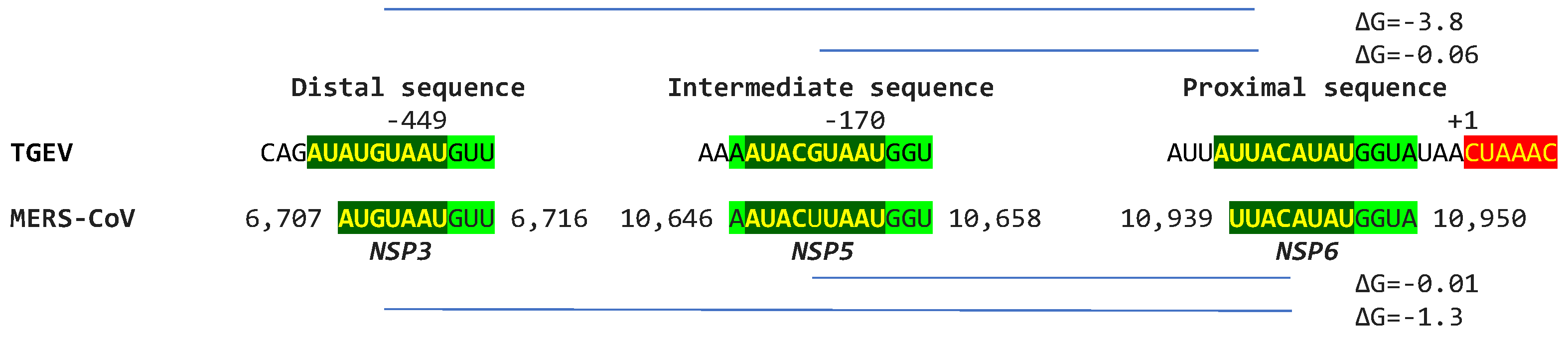 Preprints 110372 g016