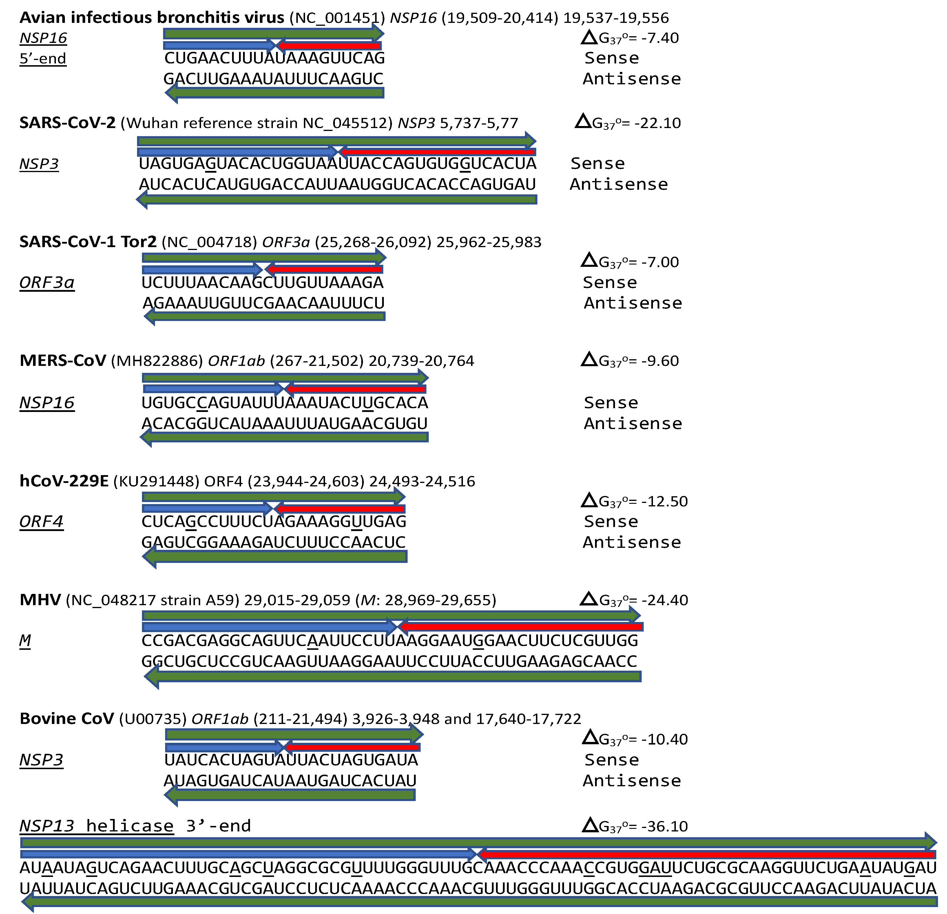 Preprints 110372 g020