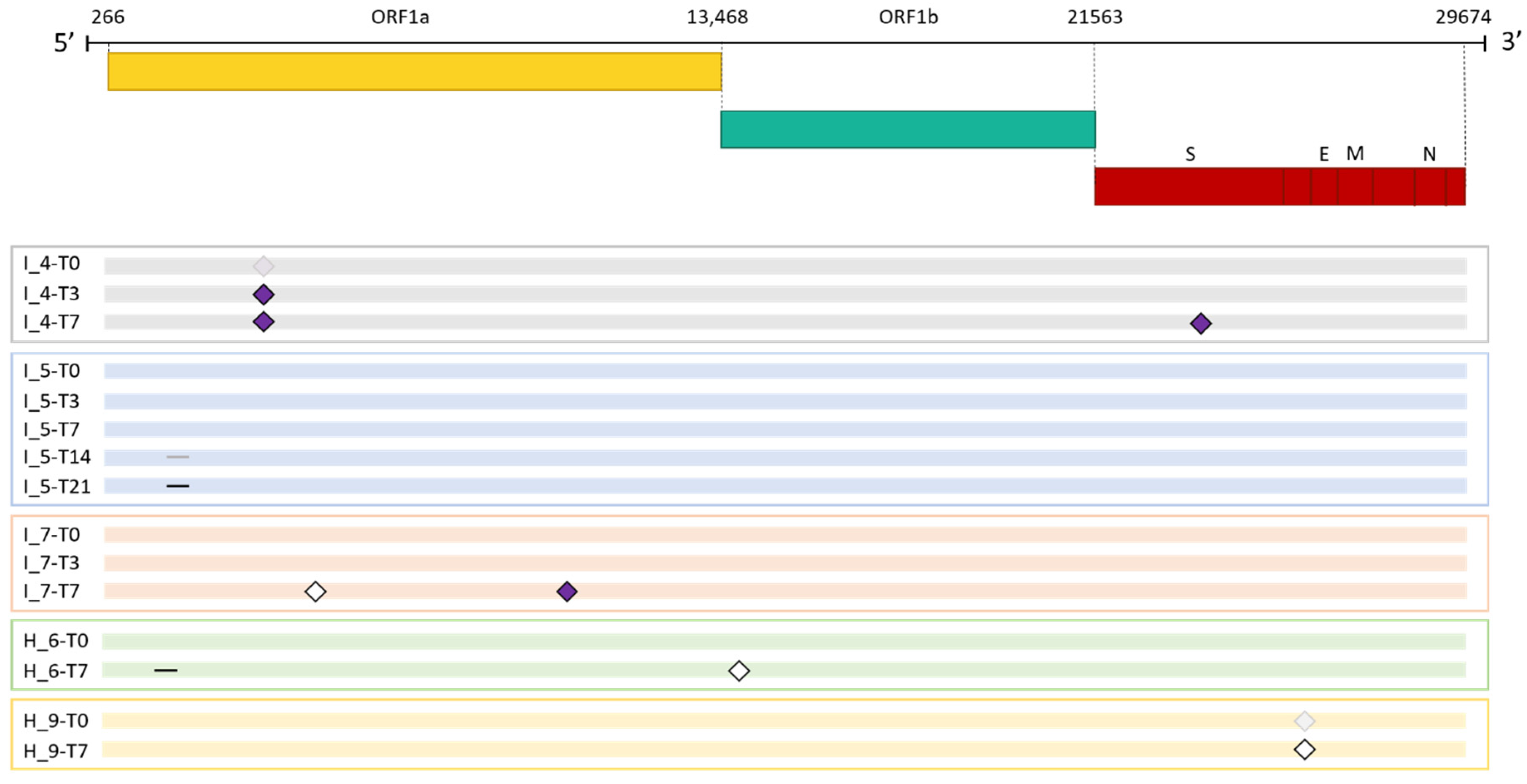 Preprints 92116 g002