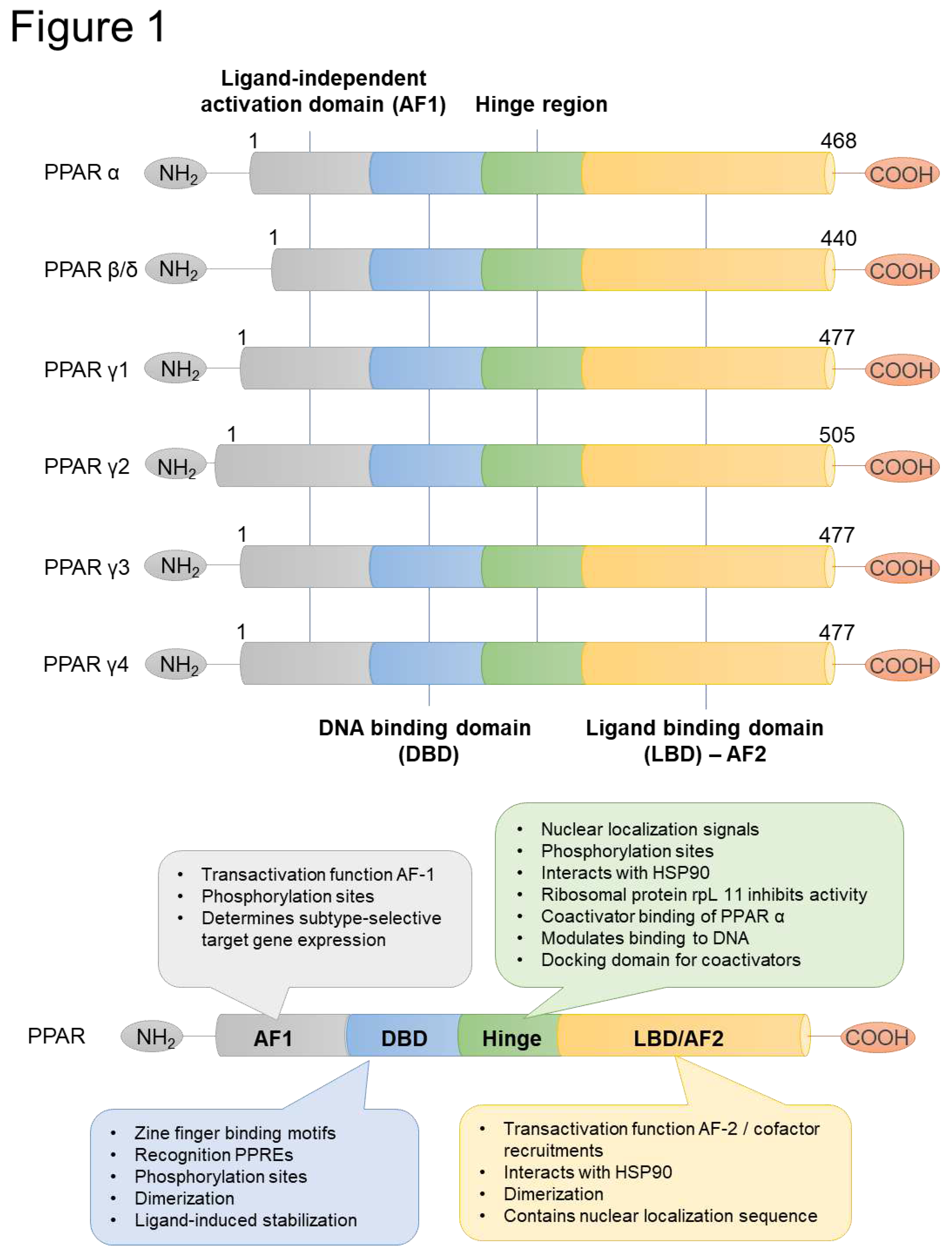 Preprints 71014 g001