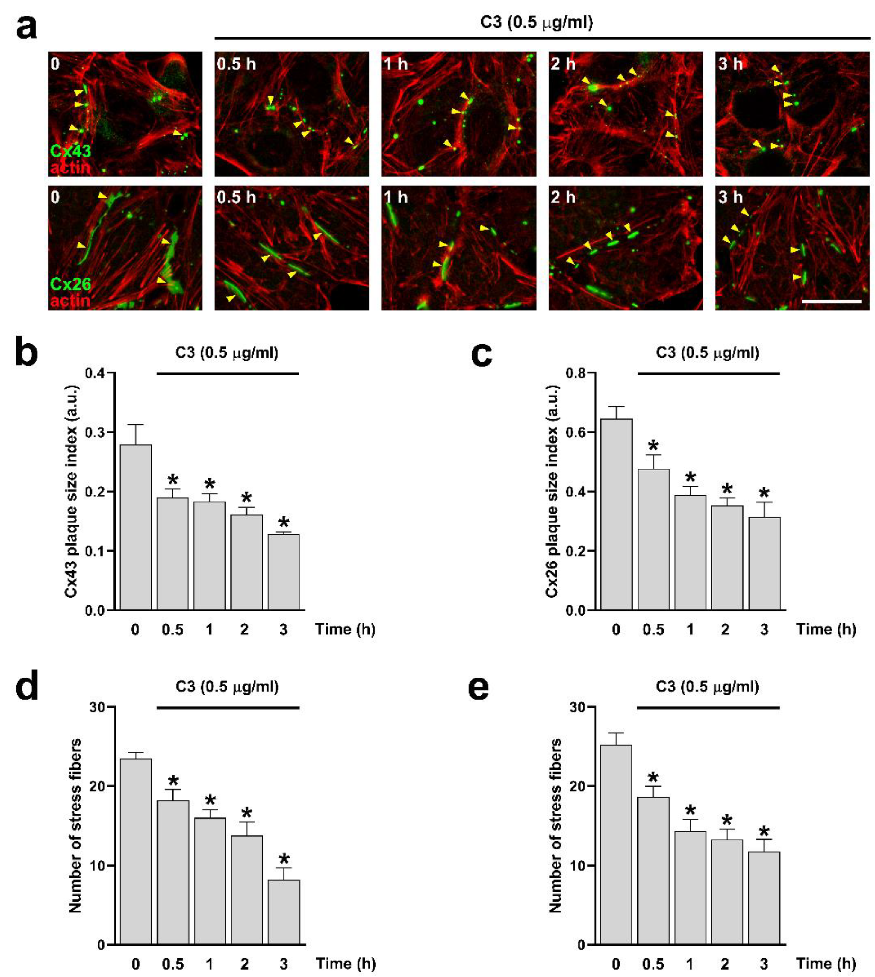 Preprints 108265 g001