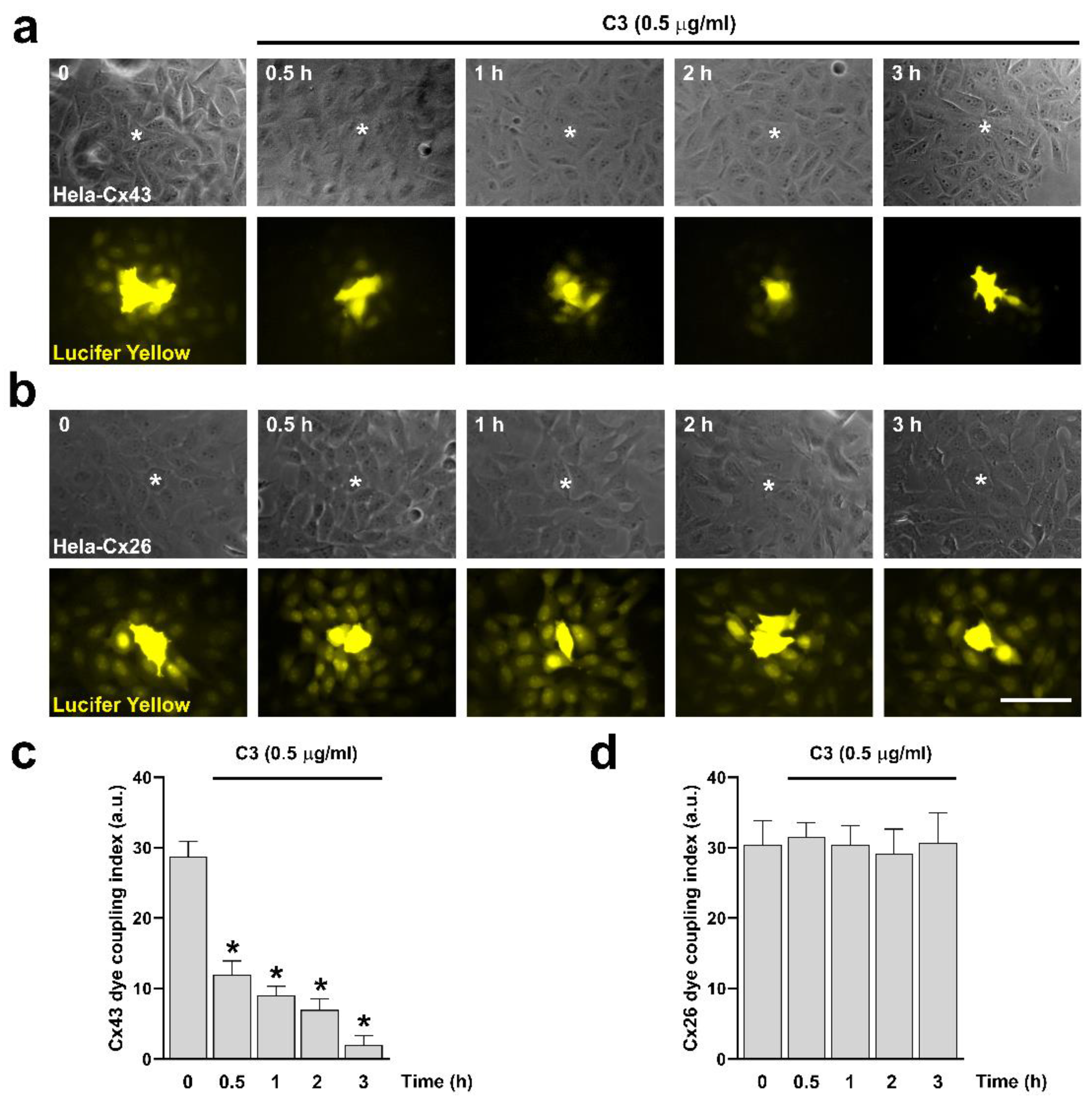 Preprints 108265 g002