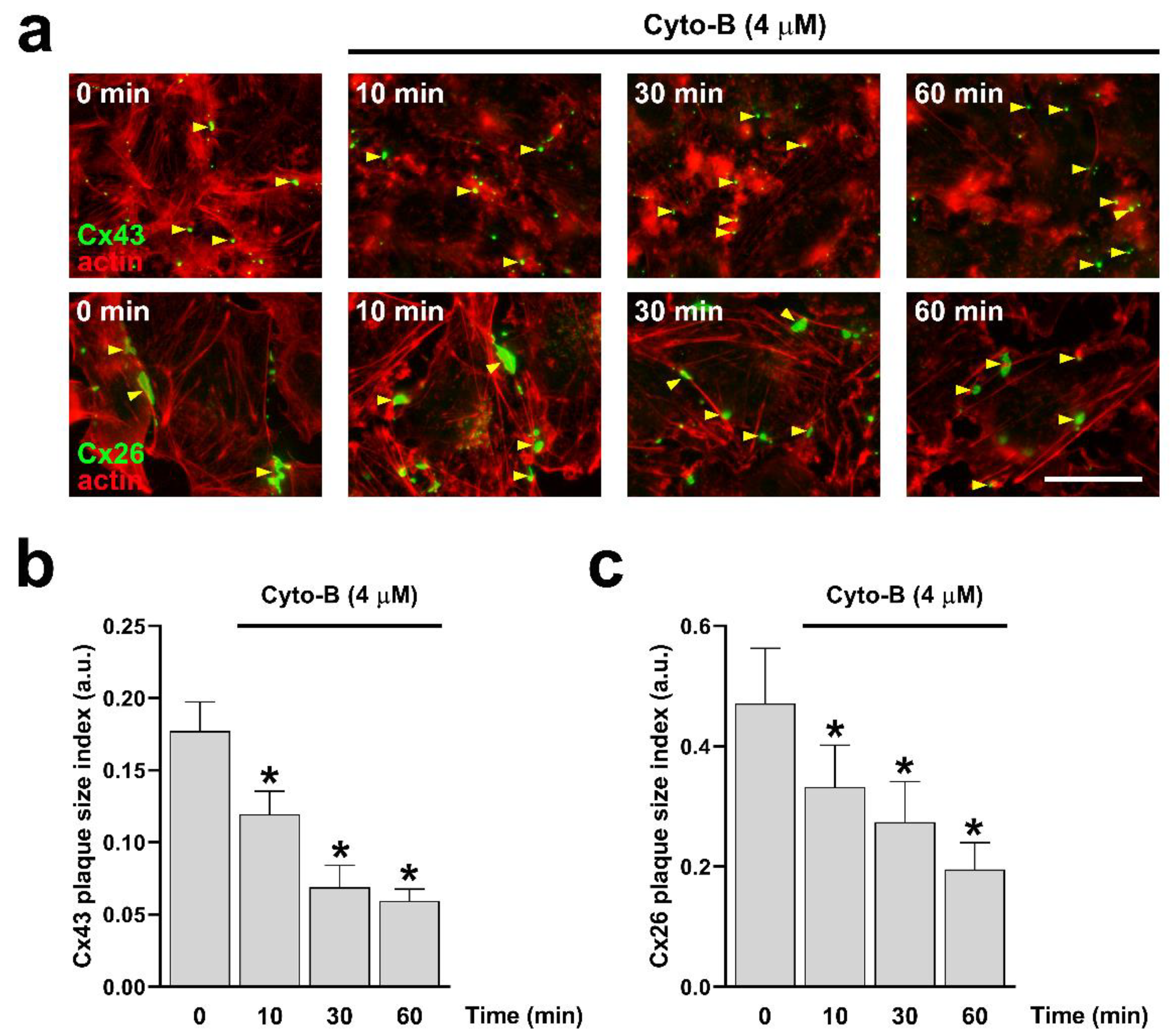 Preprints 108265 g005