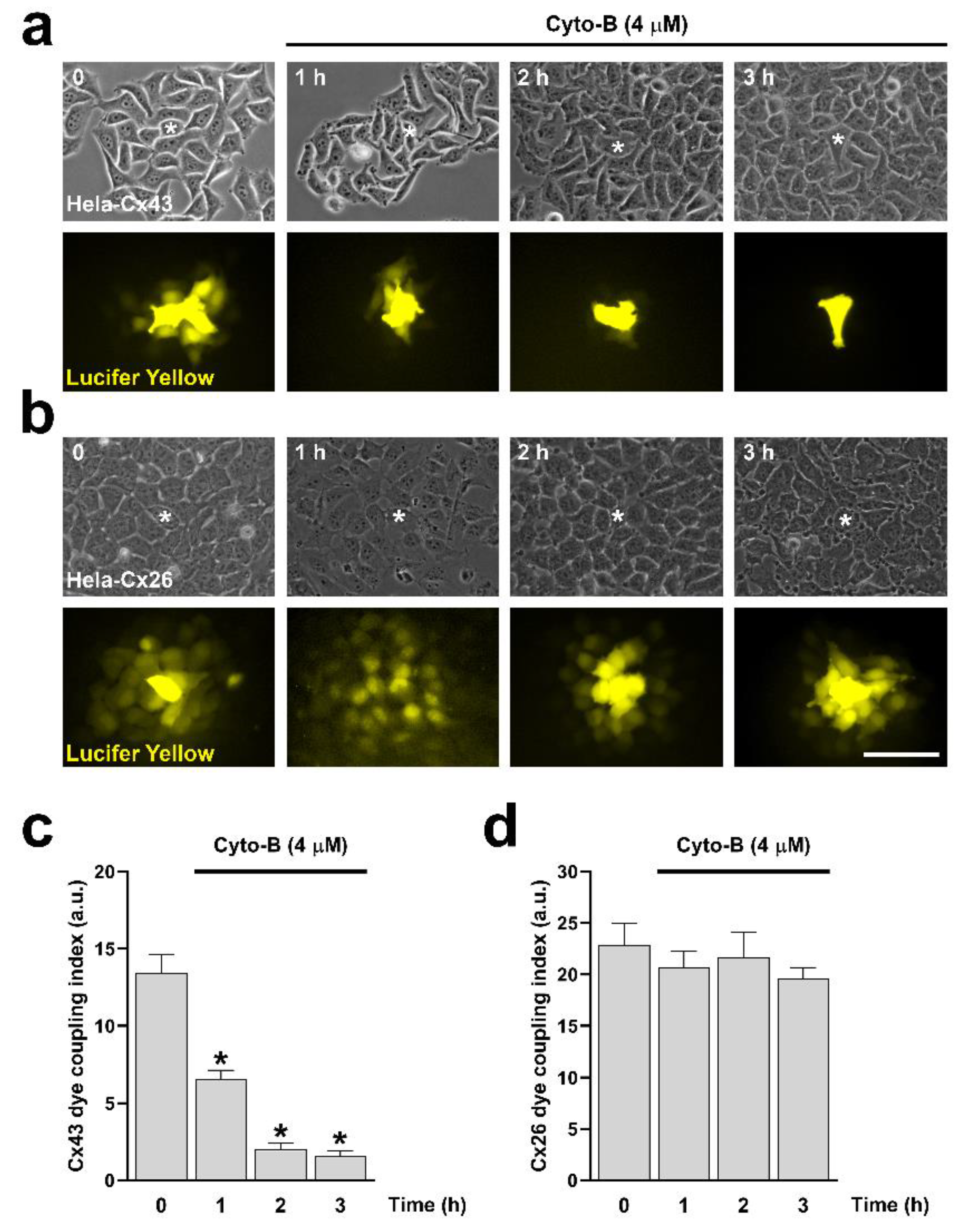 Preprints 108265 g006