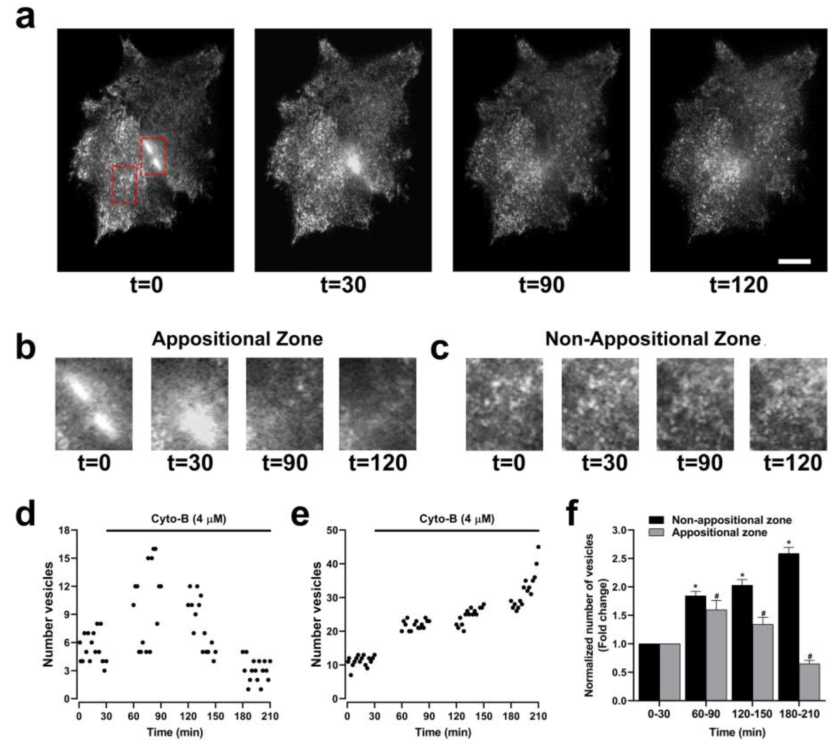 Preprints 108265 g009