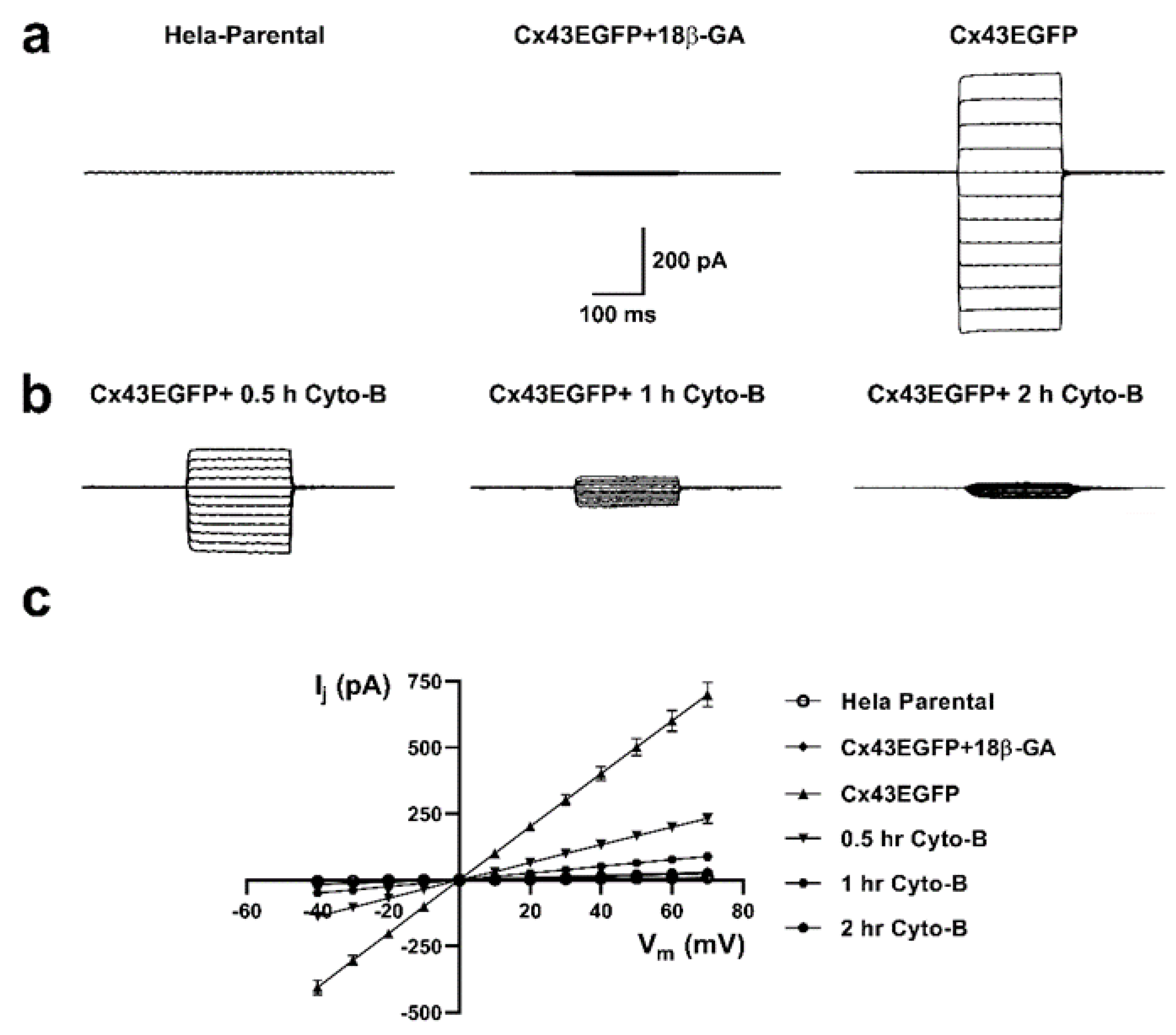 Preprints 108265 g010