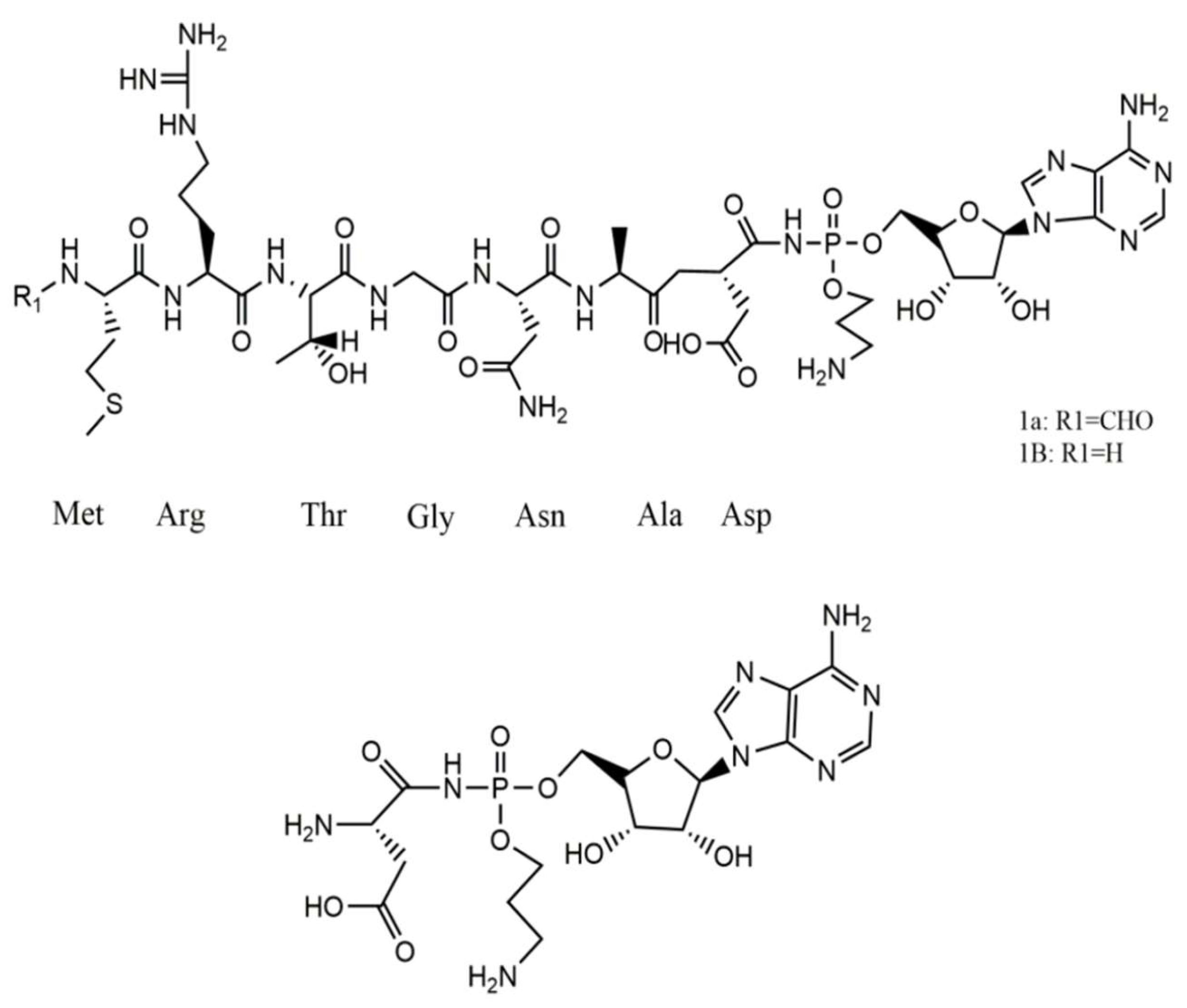 Preprints 114632 g003