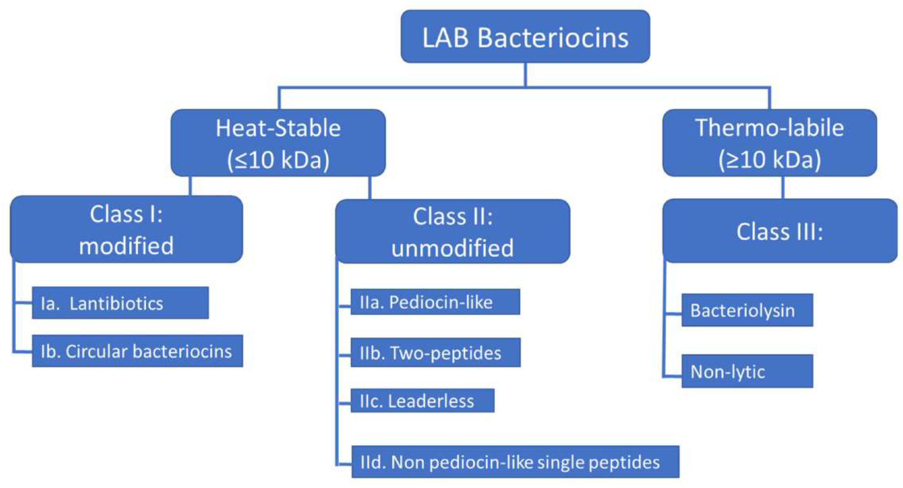 Preprints 114632 g008