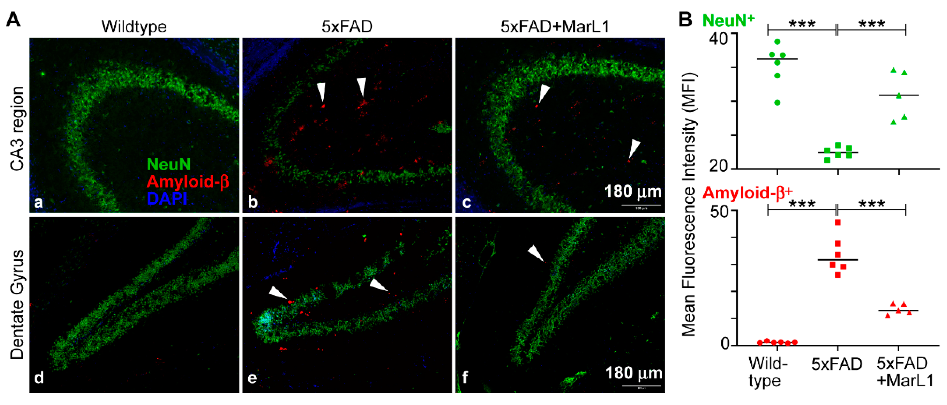 Preprints 111357 g001