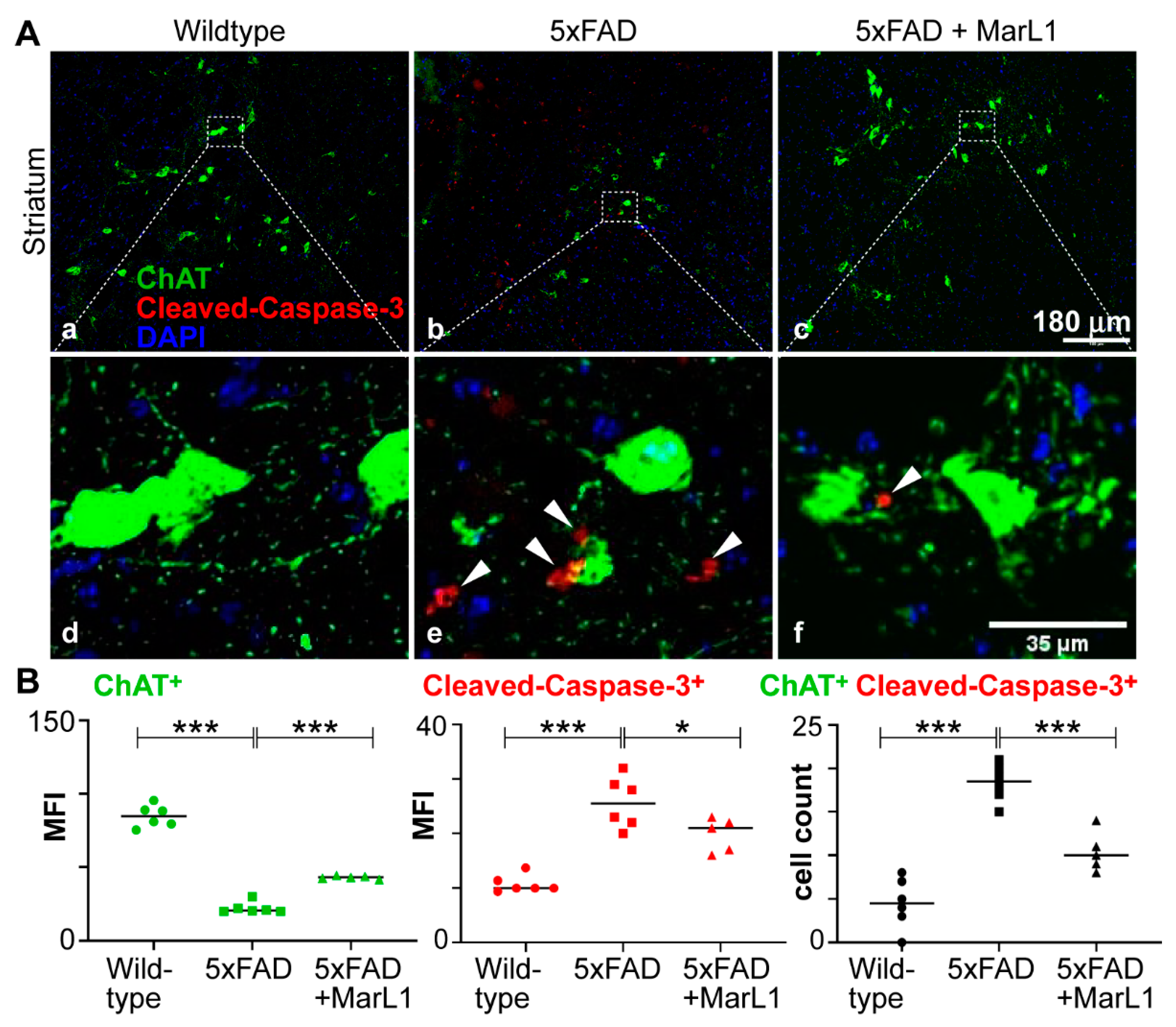 Preprints 111357 g002