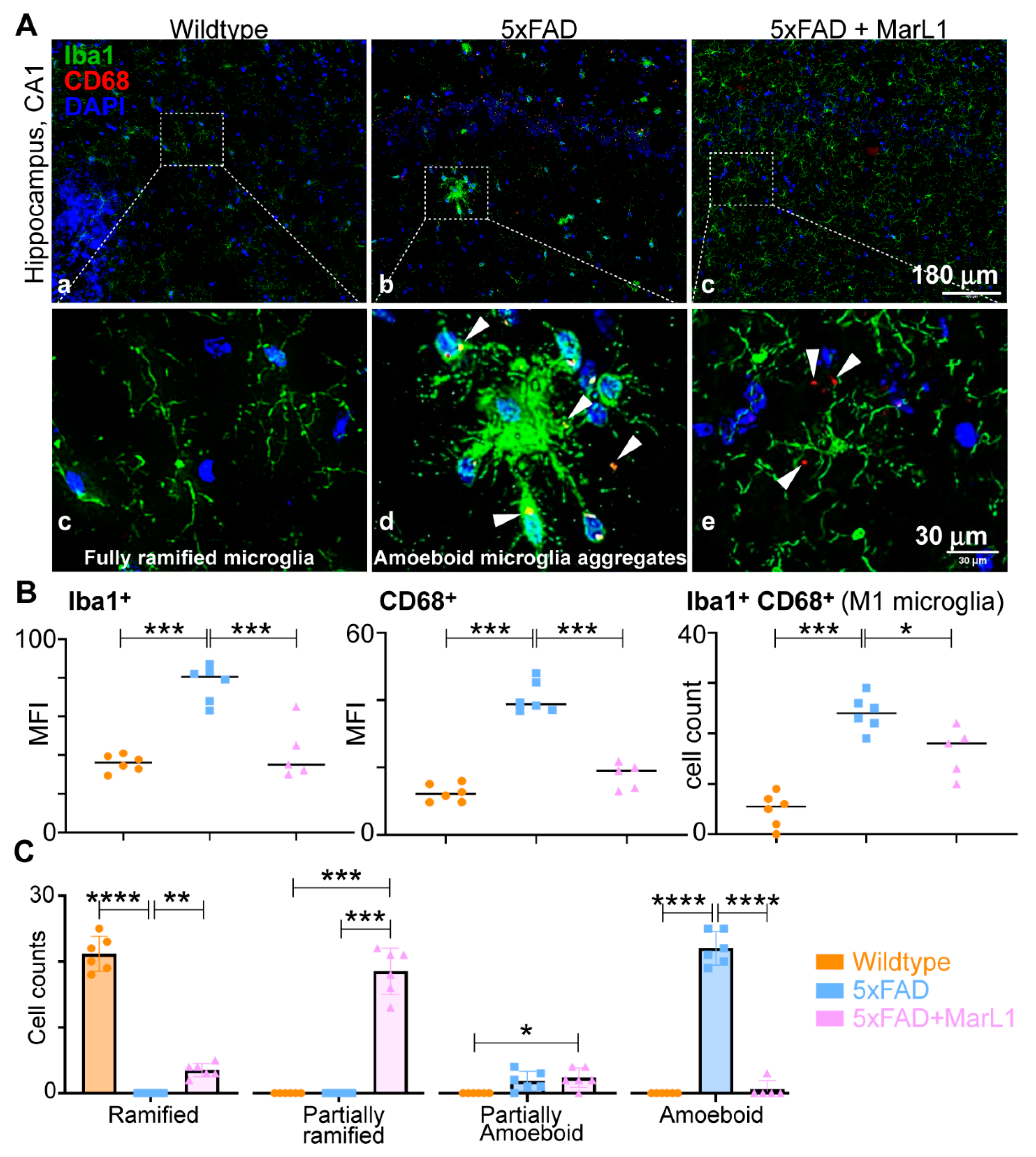 Preprints 111357 g003