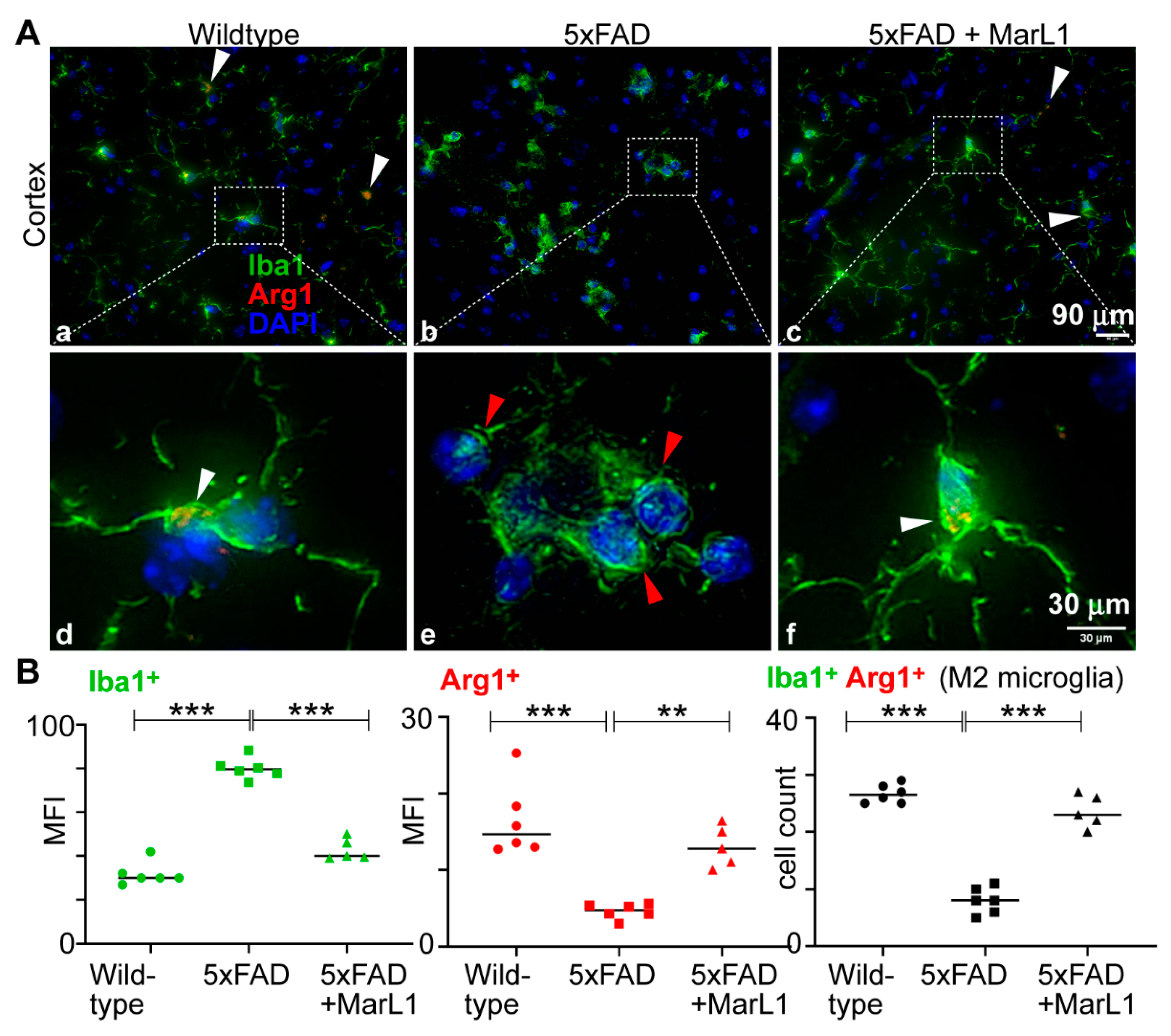 Preprints 111357 g004