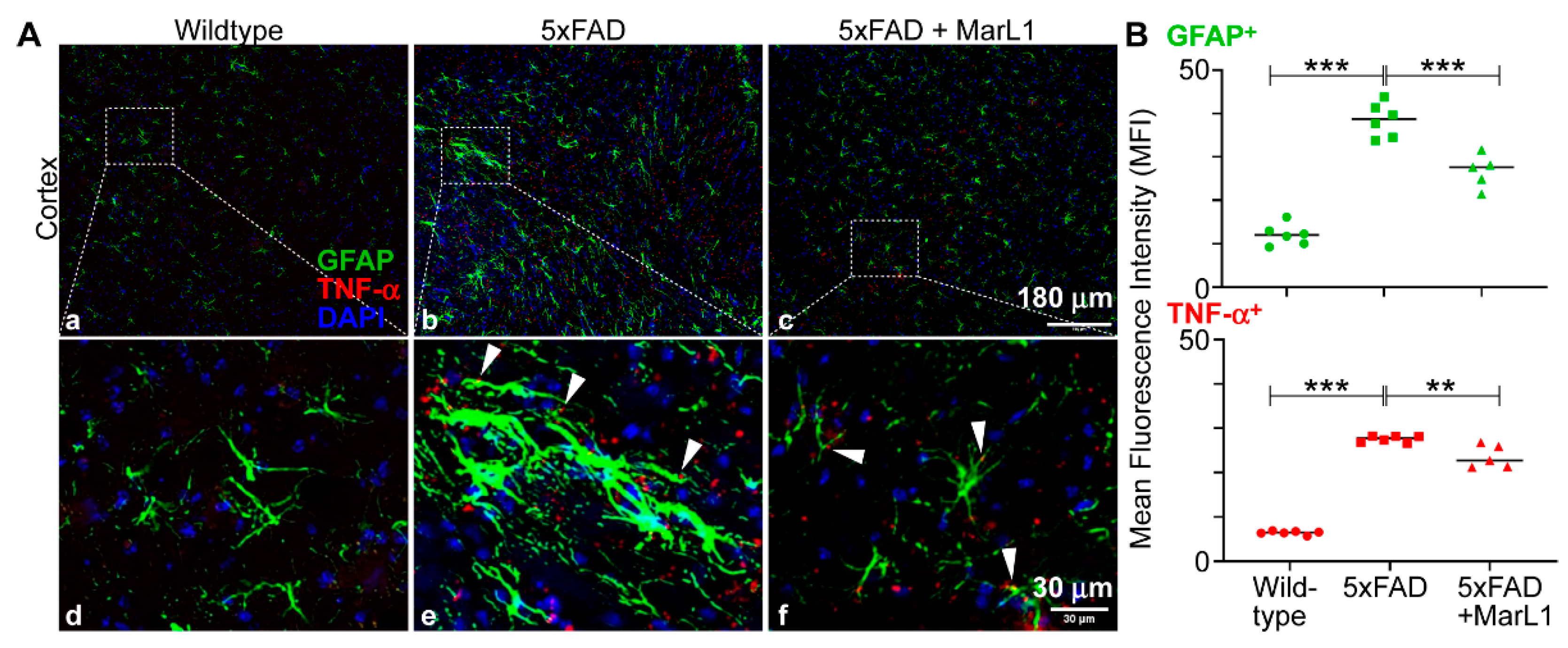 Preprints 111357 g005