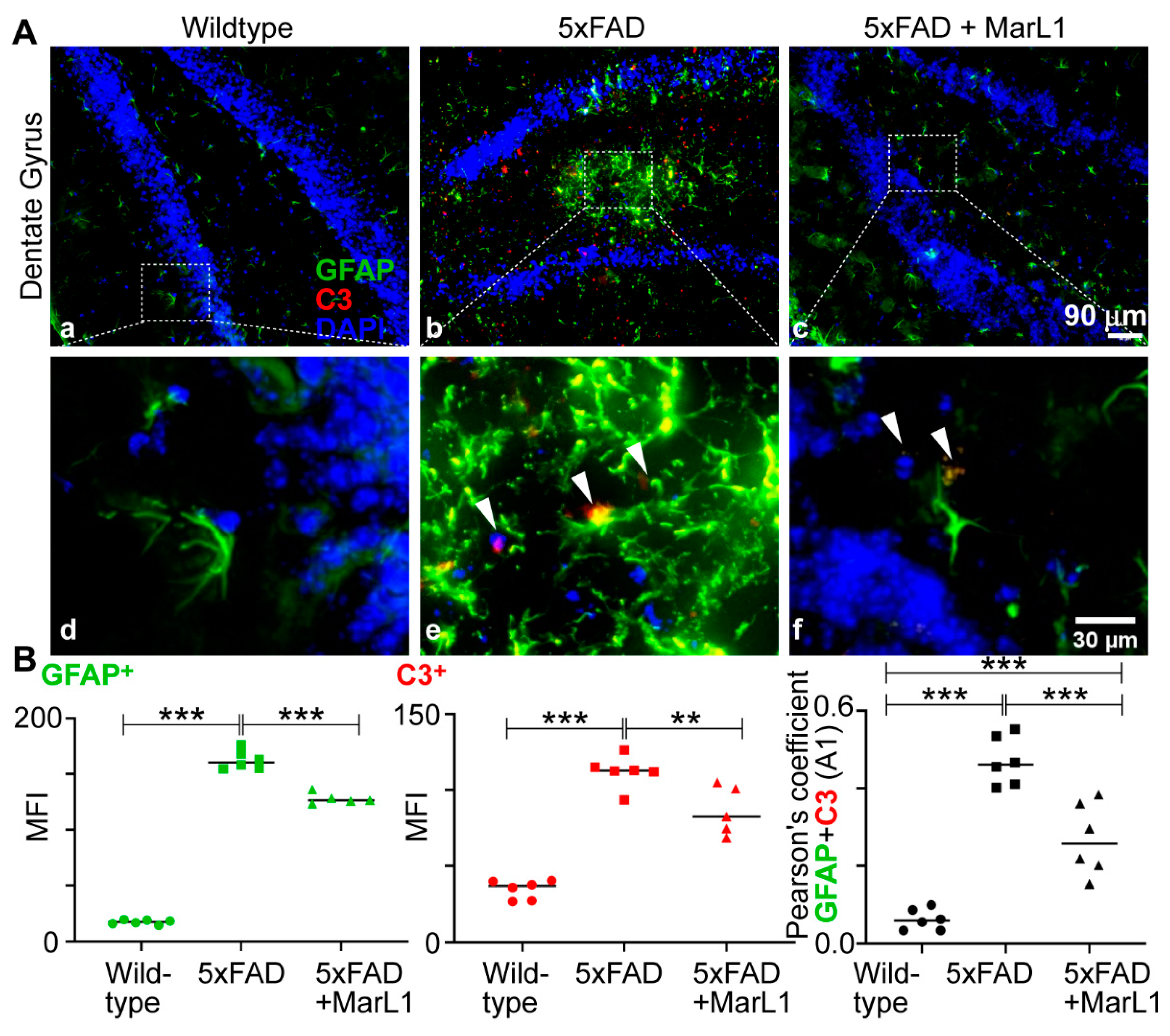 Preprints 111357 g006