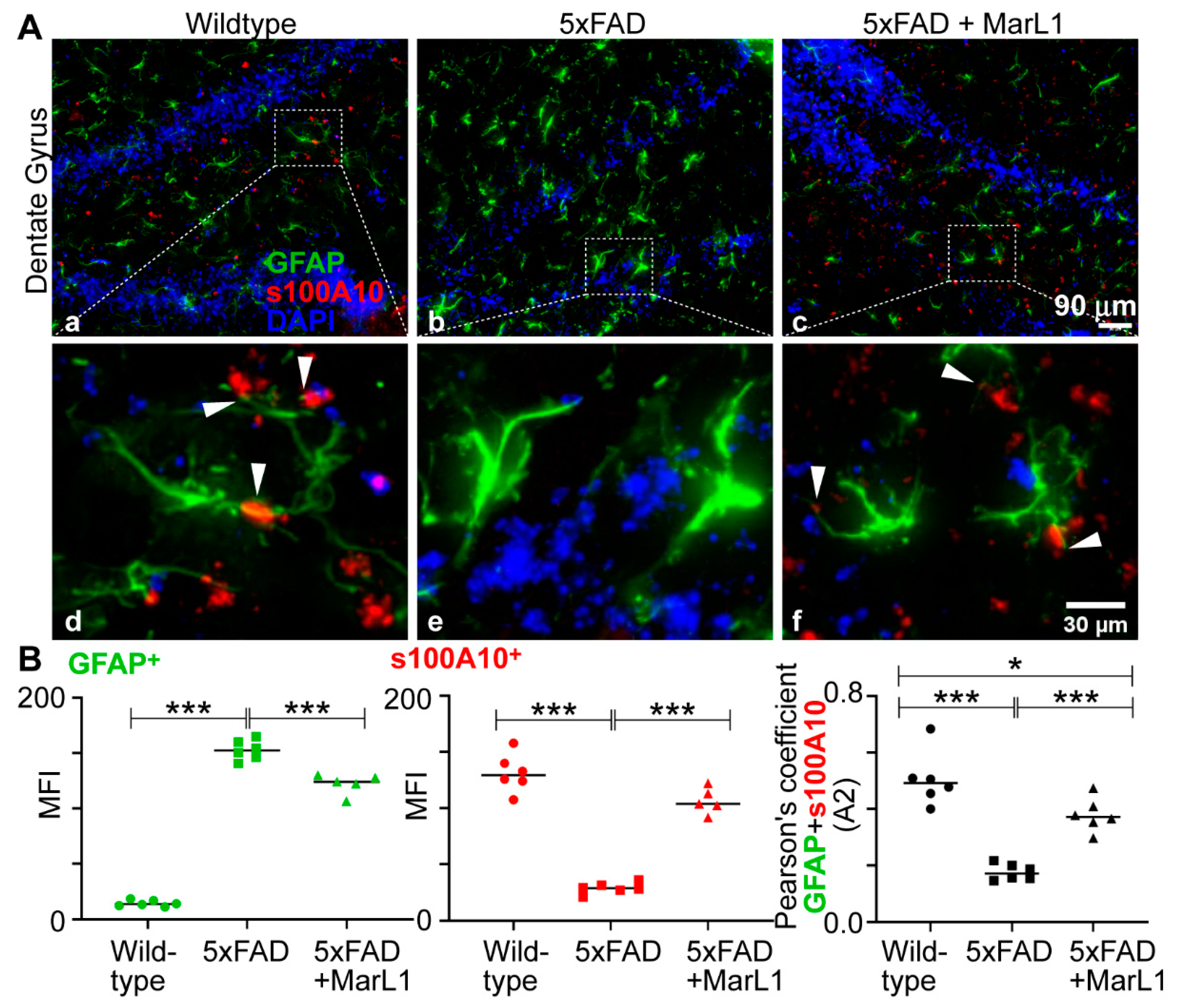 Preprints 111357 g007