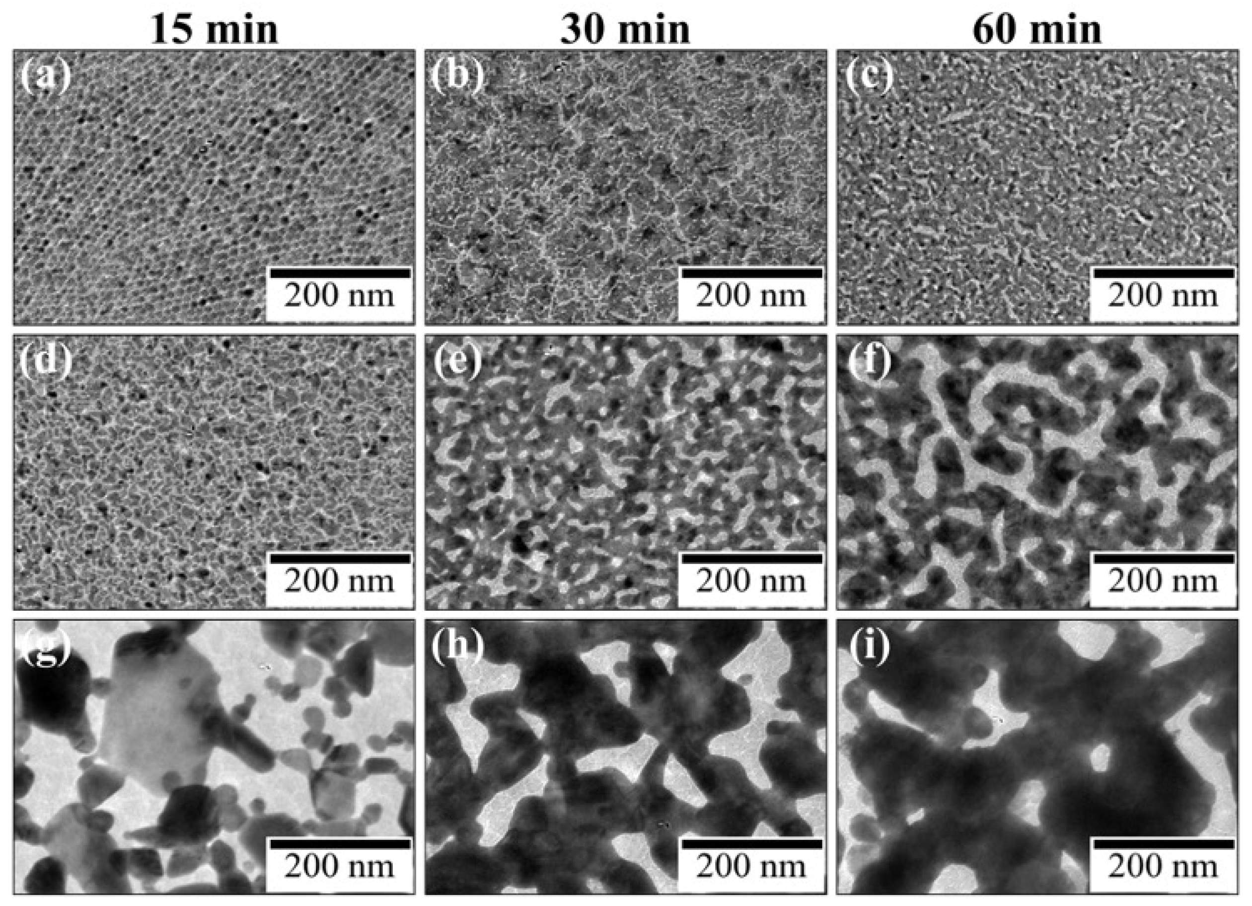 Preprints 93911 g004