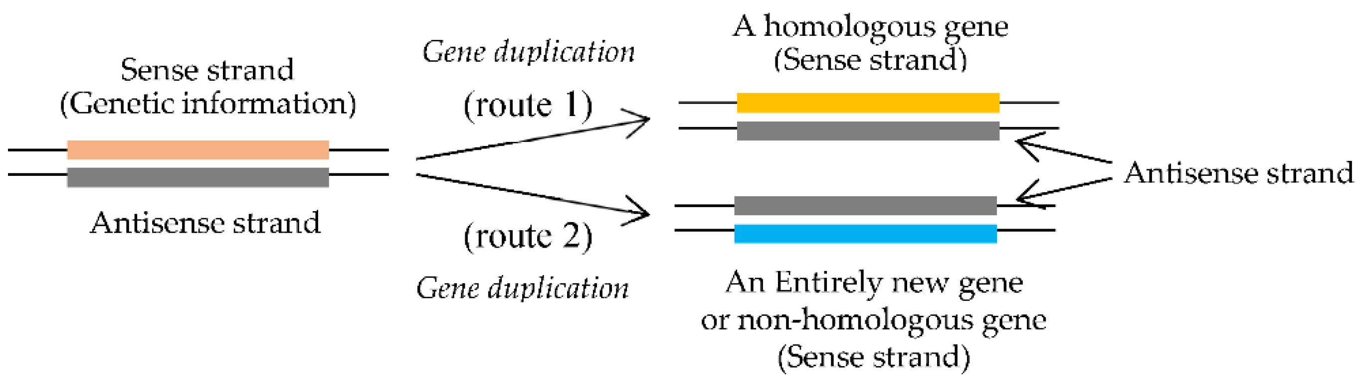 Preprints 80361 g005