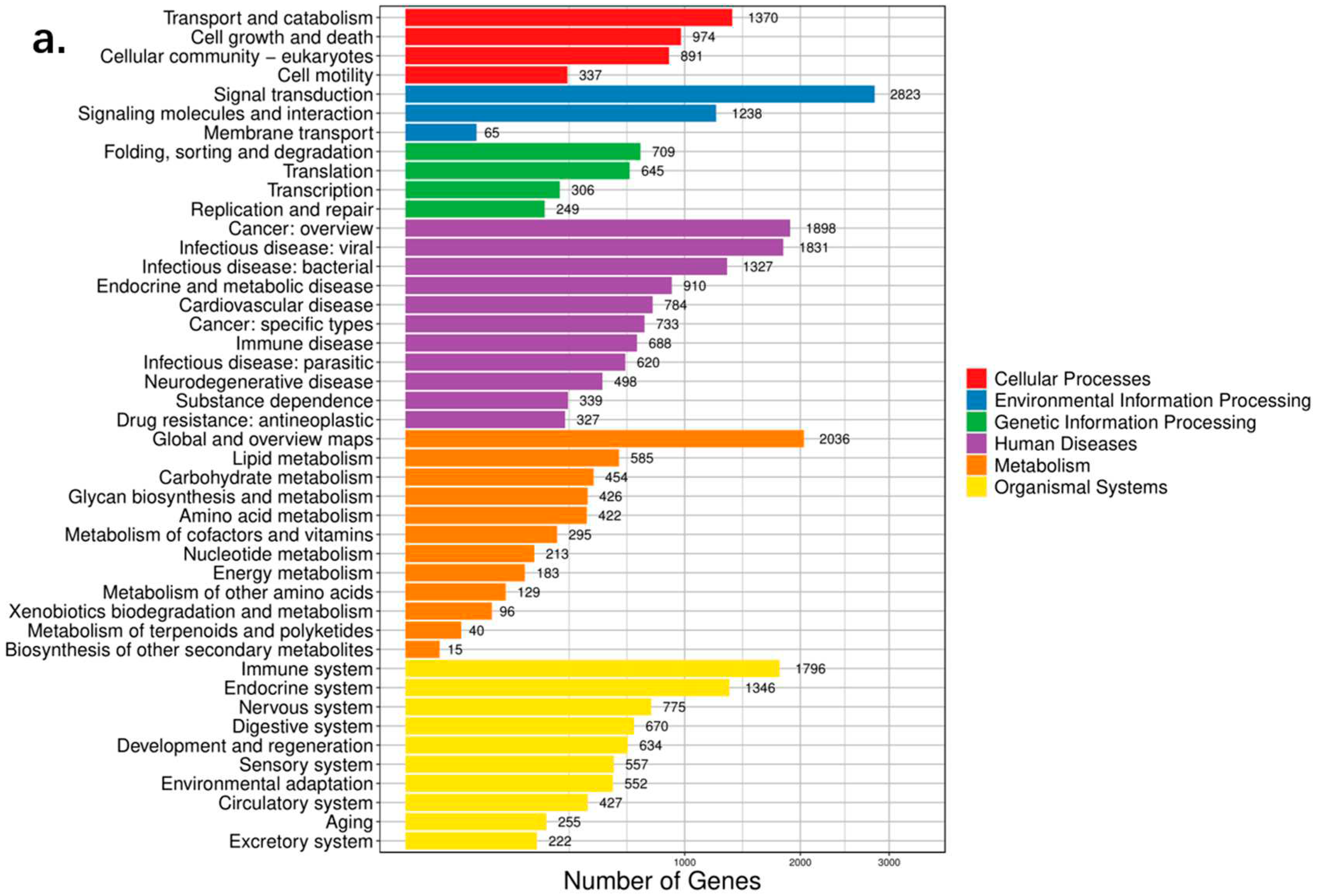 Preprints 82897 g005a