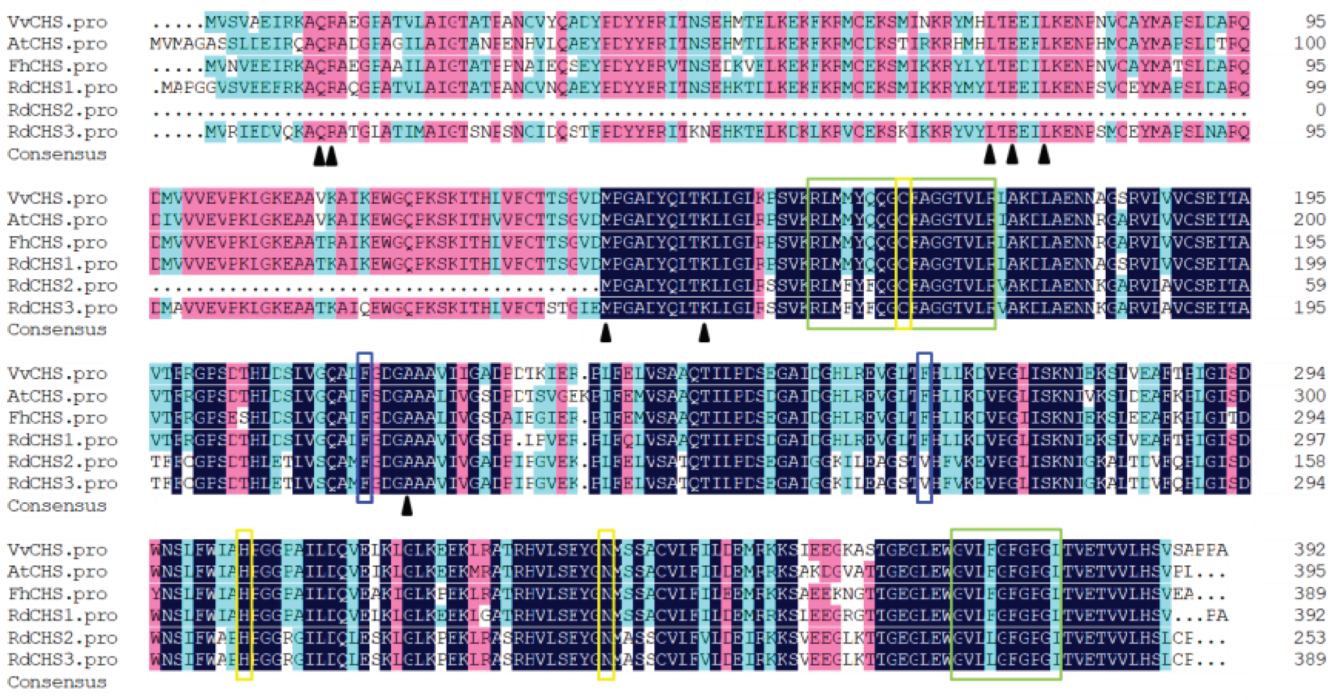 Preprints 96556 g001