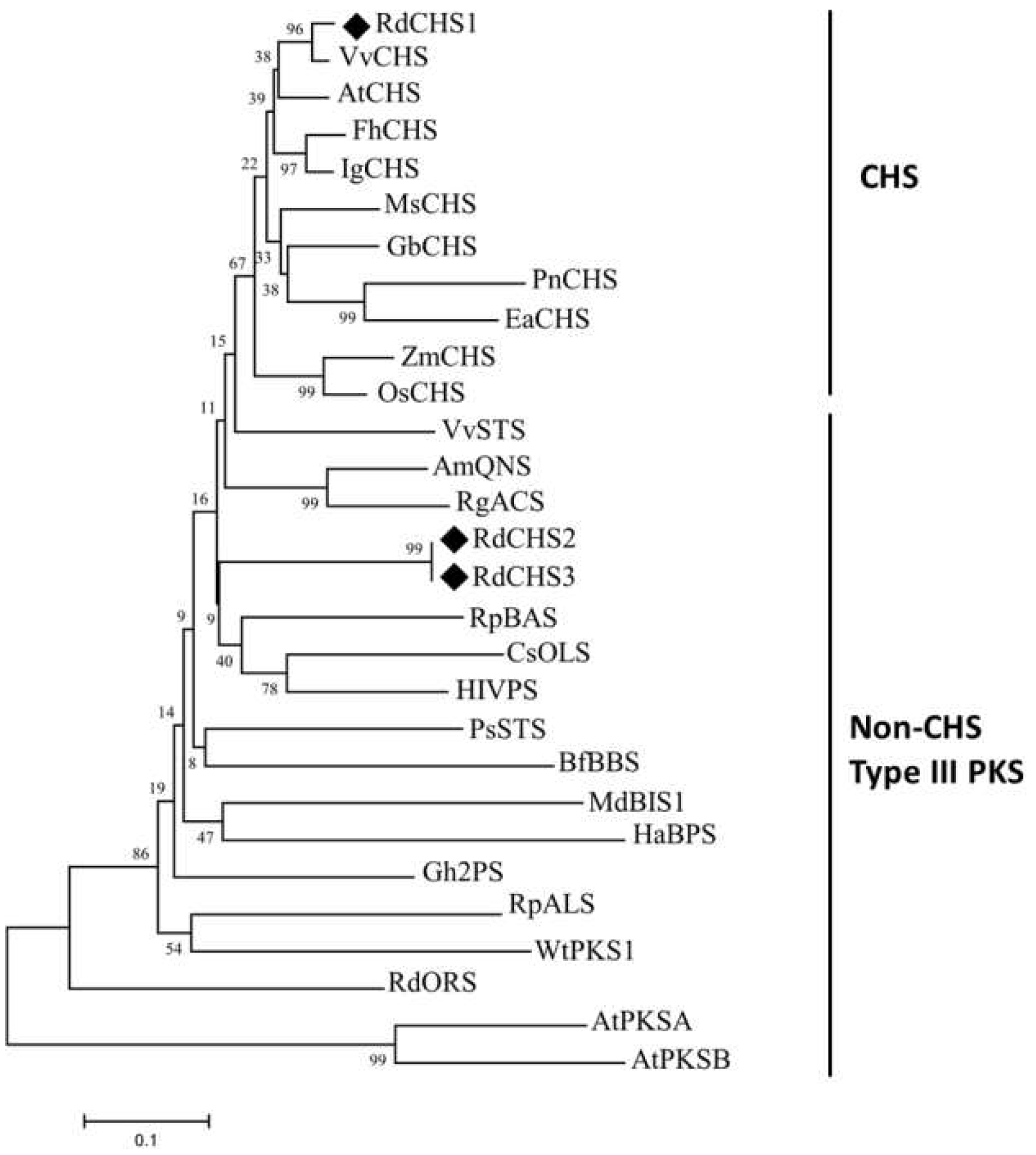 Preprints 96556 g002