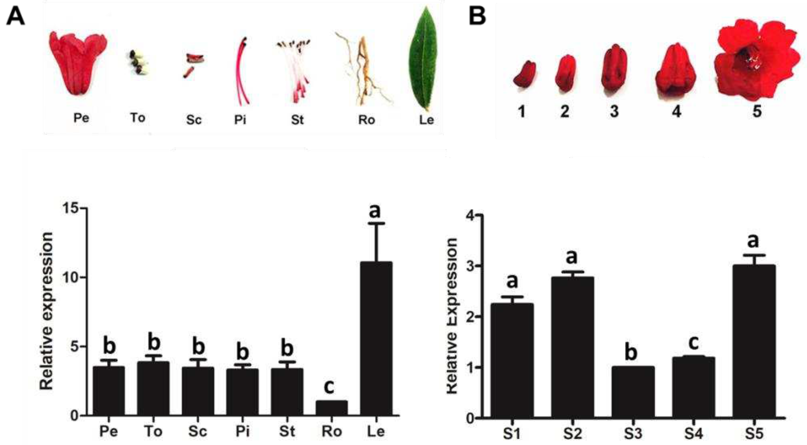 Preprints 96556 g003