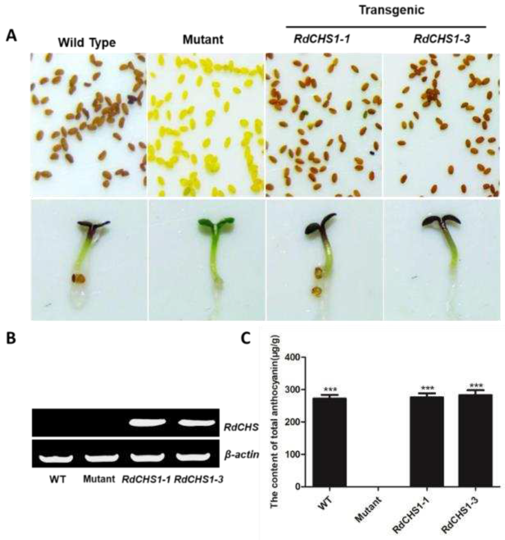 Preprints 96556 g005