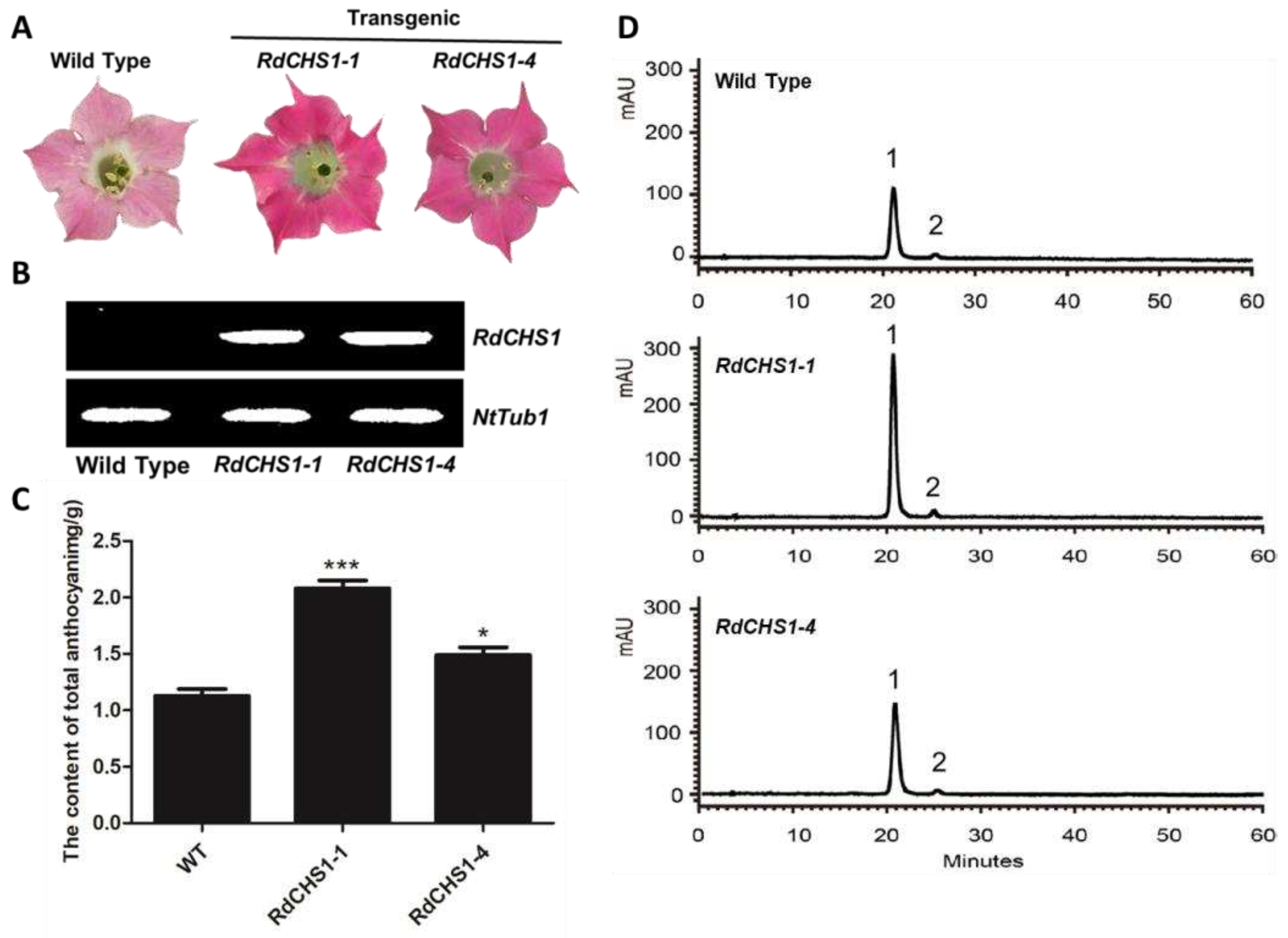 Preprints 96556 g007