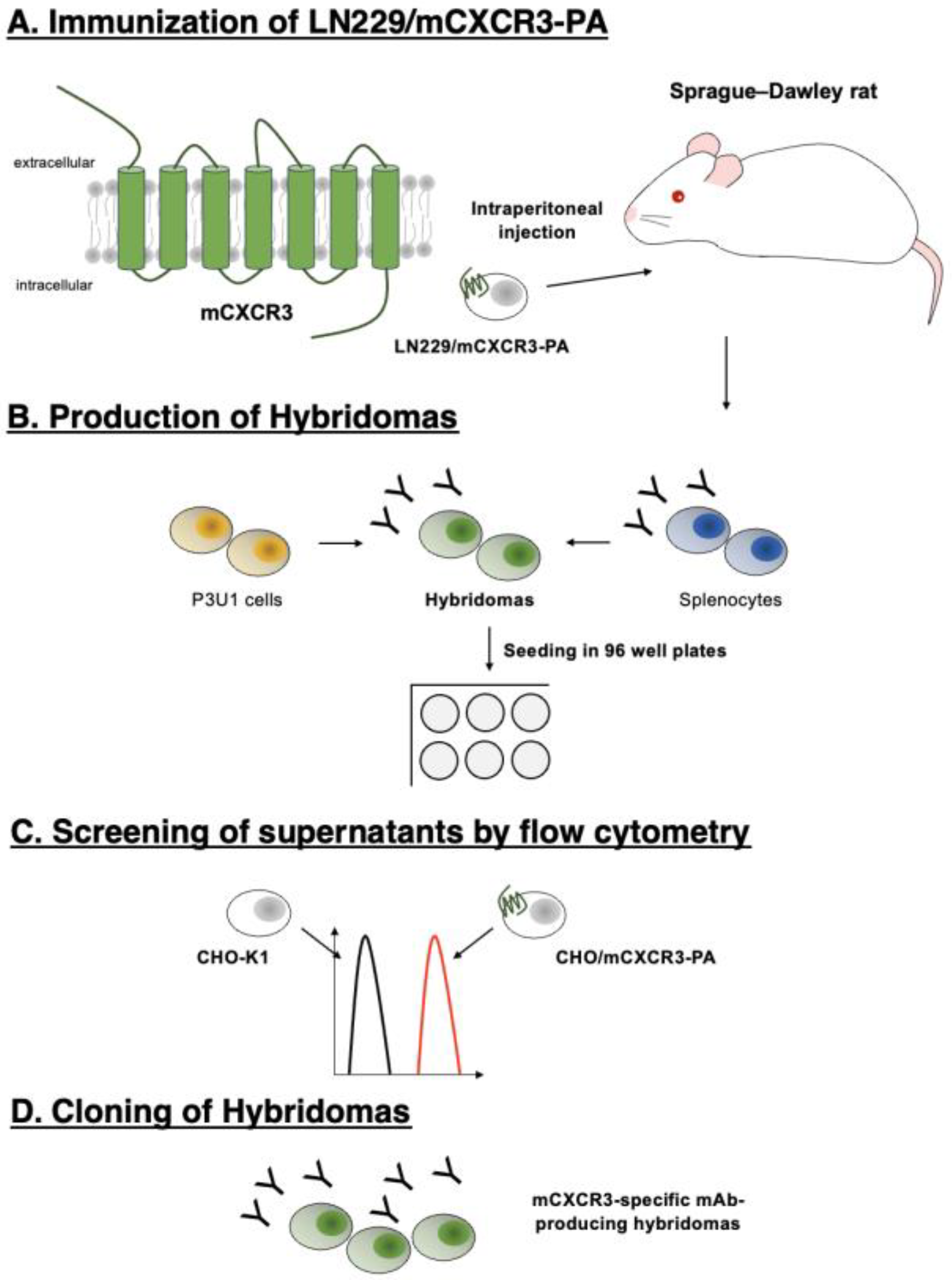 Preprints 90347 g001