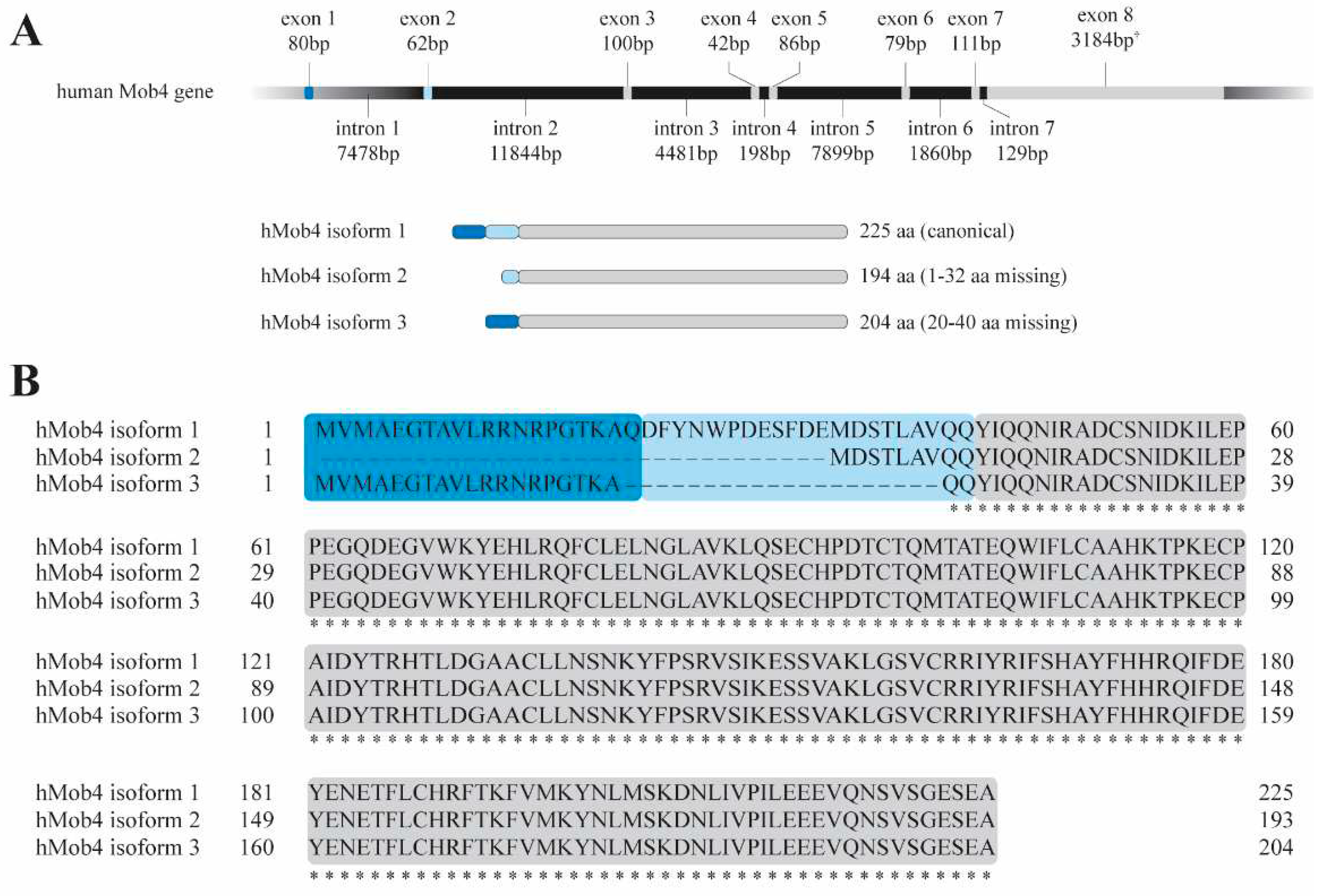 Preprints 82710 g001