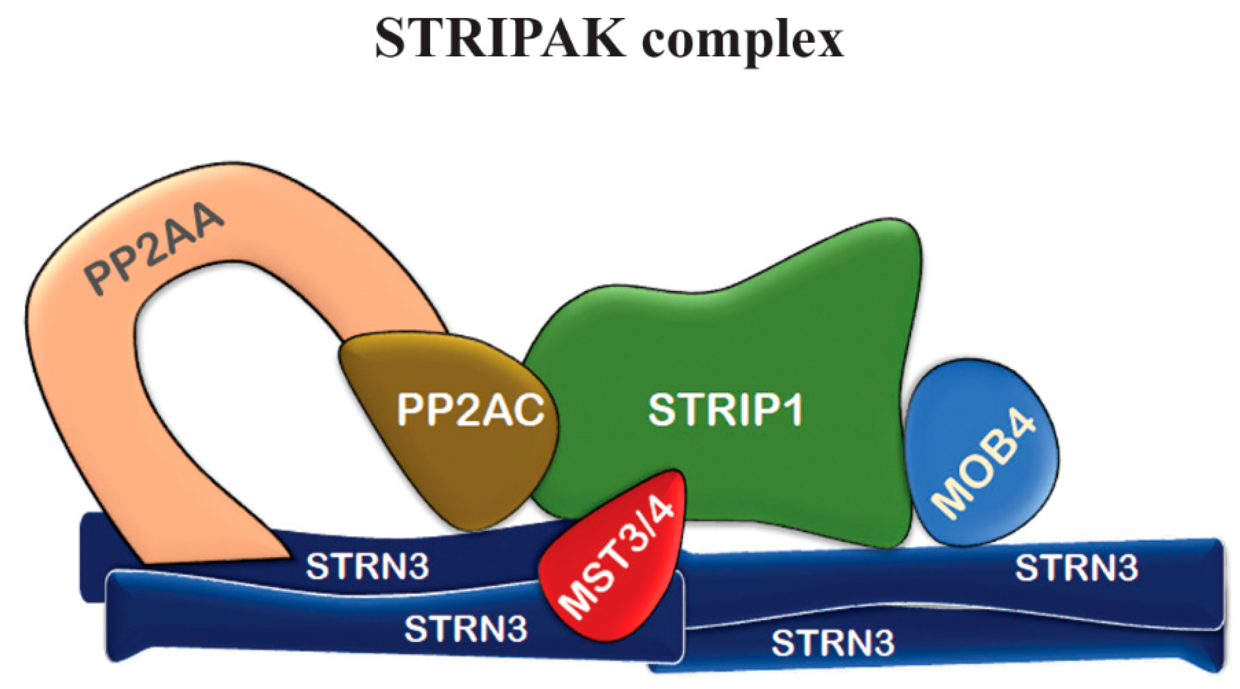 Preprints 82710 g002