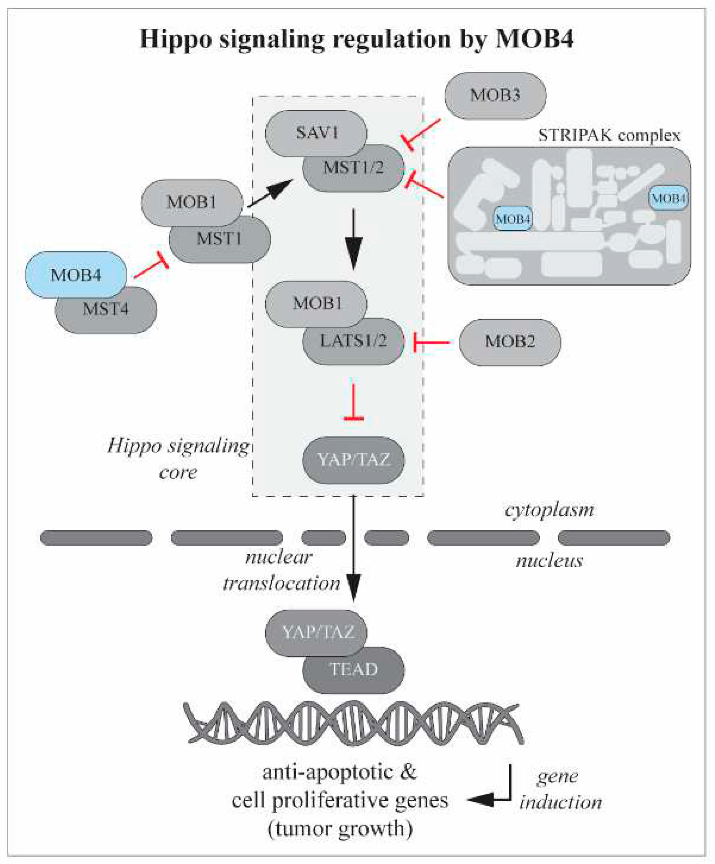 Preprints 82710 g003