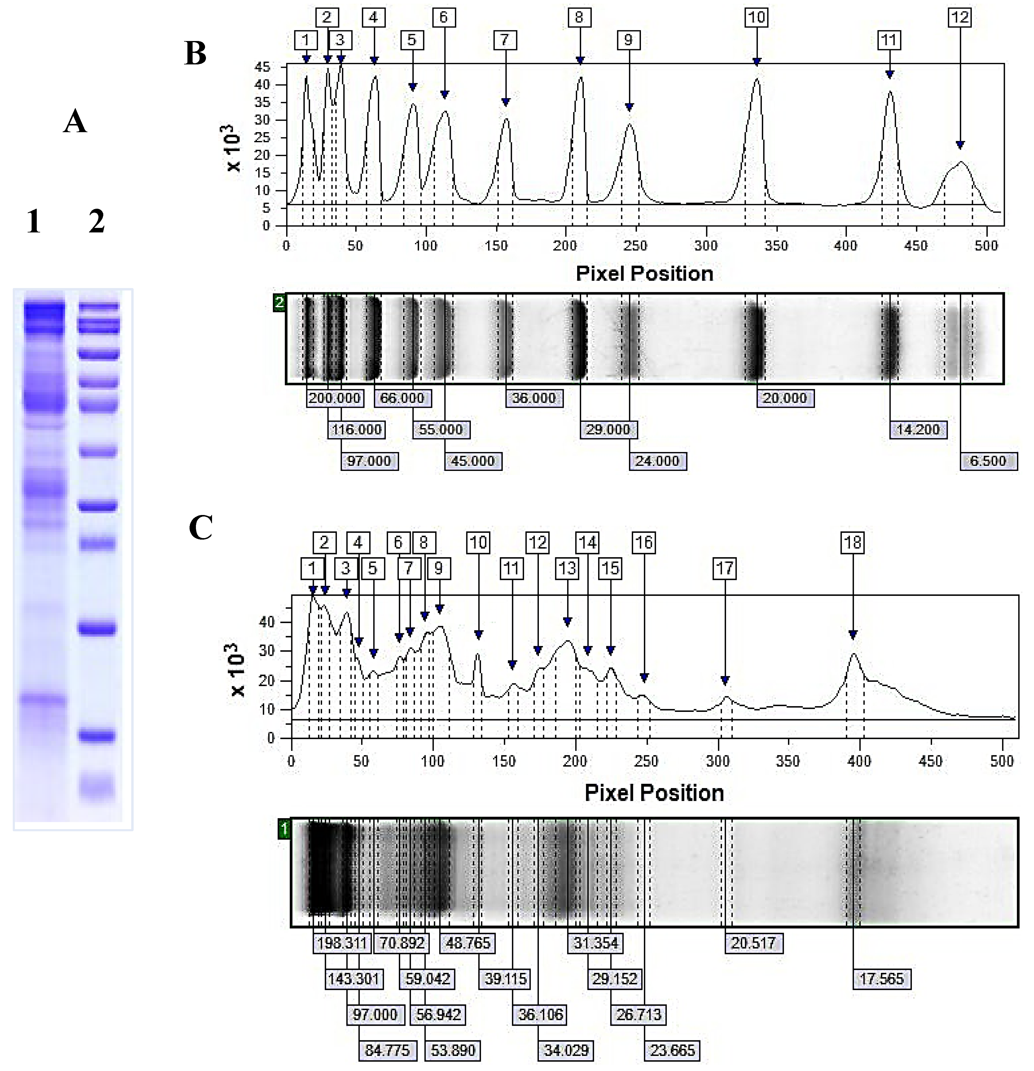 Preprints 105066 g005