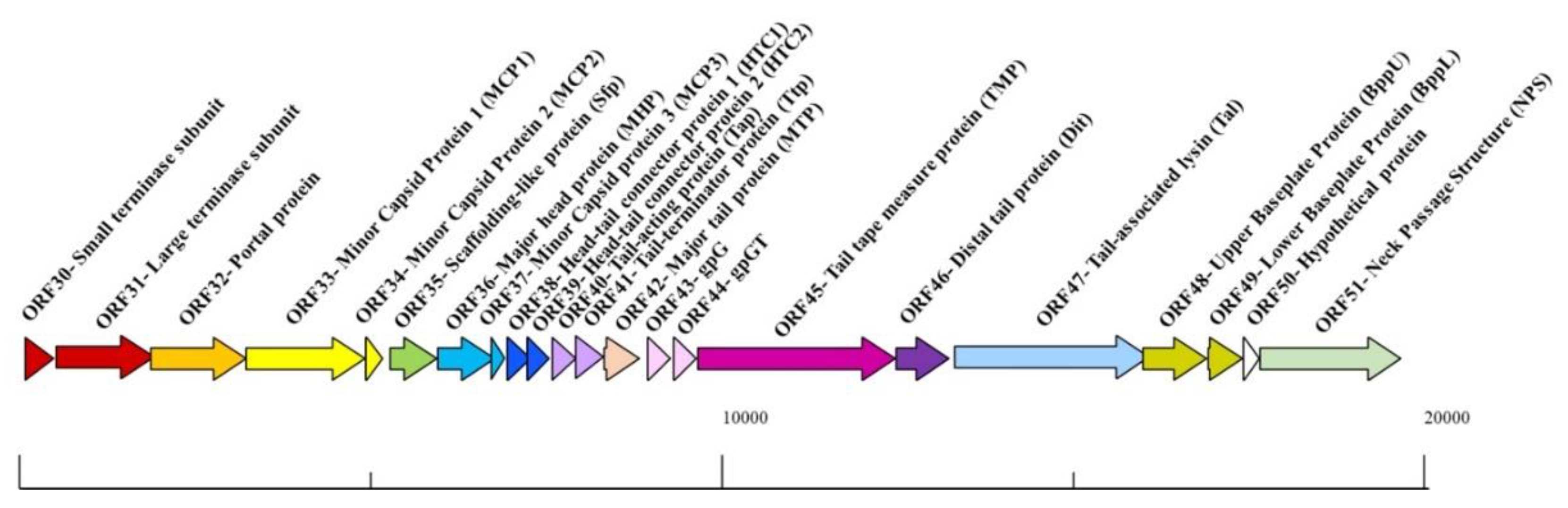 Preprints 90237 g001