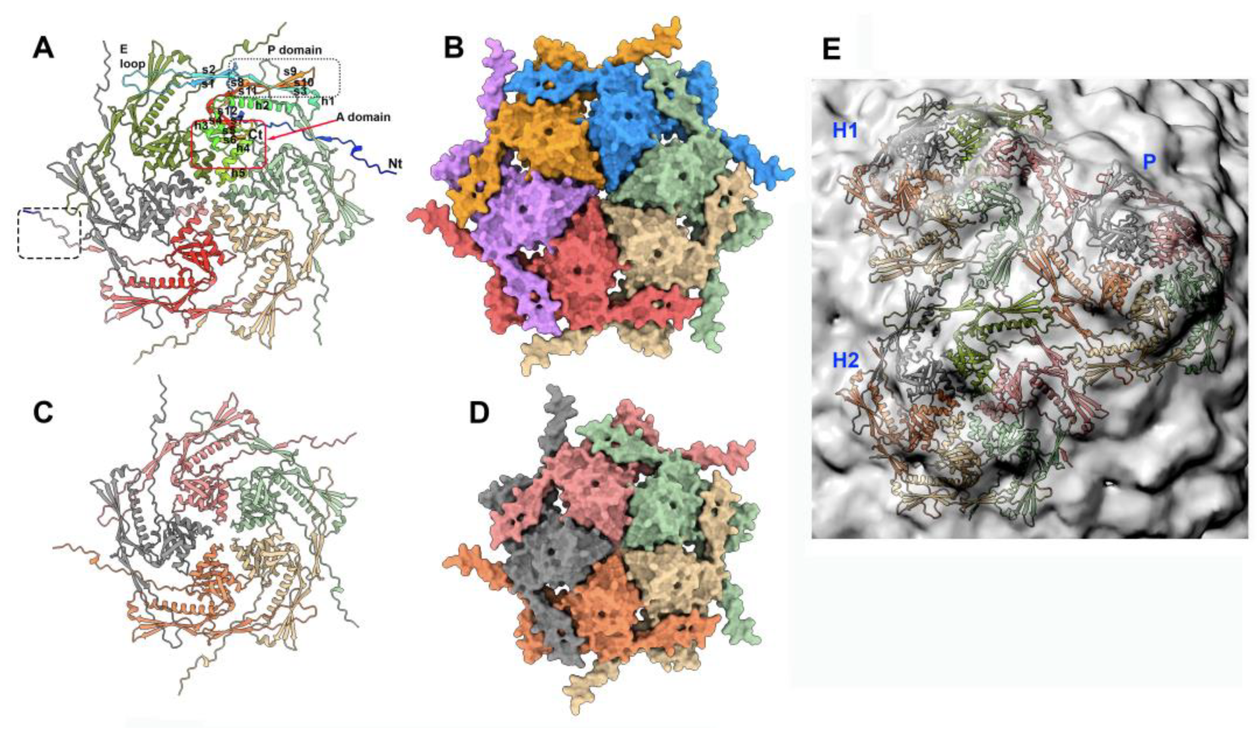 Preprints 90237 g002