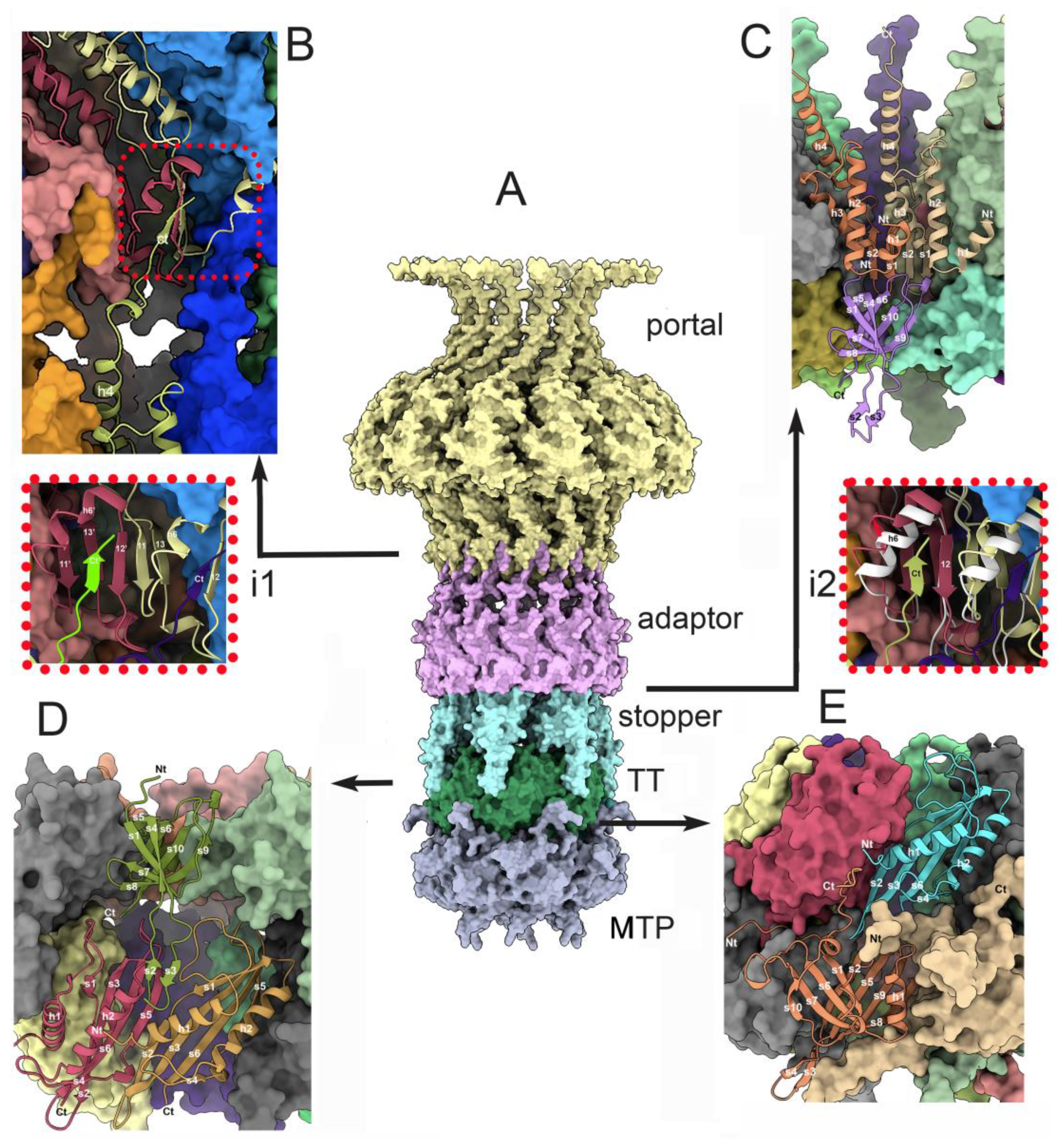 Preprints 90237 g004