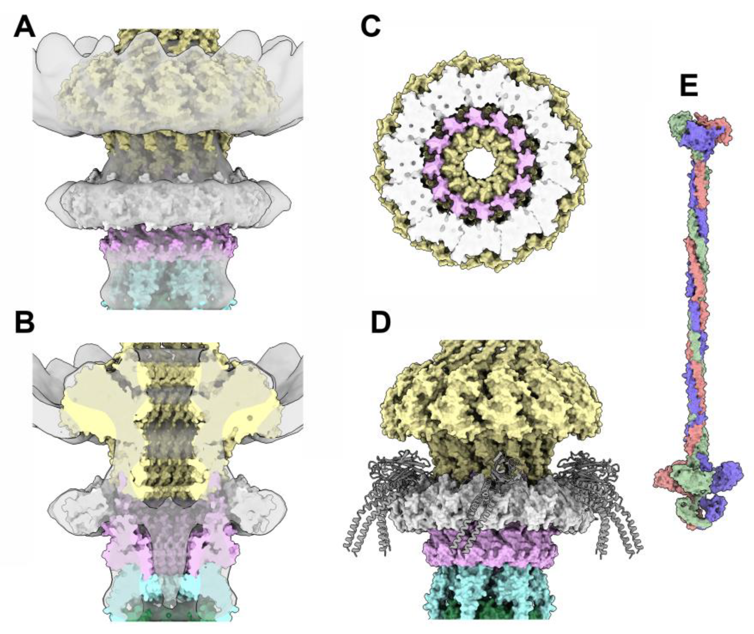 Preprints 90237 g005