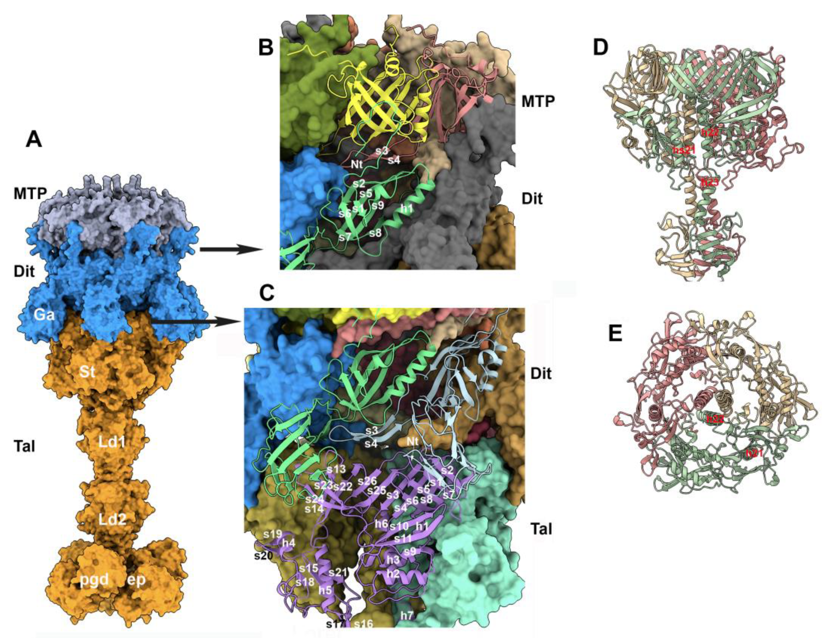 Preprints 90237 g007