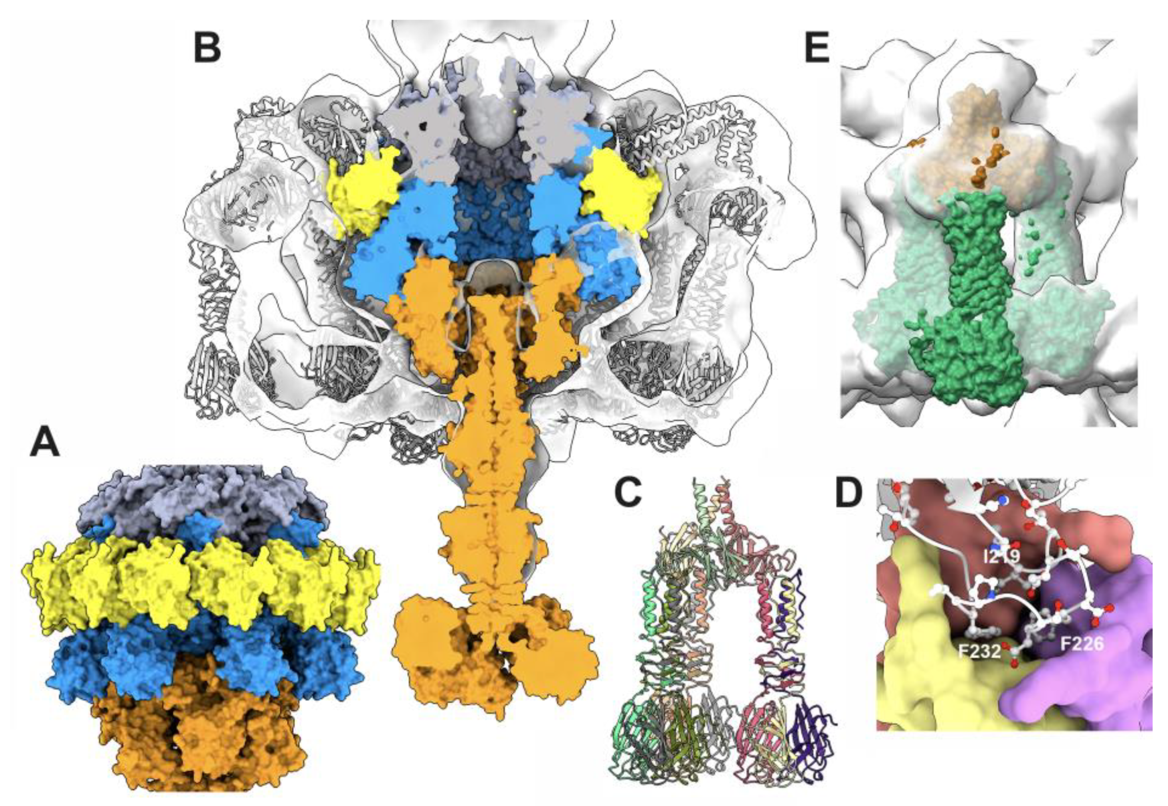 Preprints 90237 g008