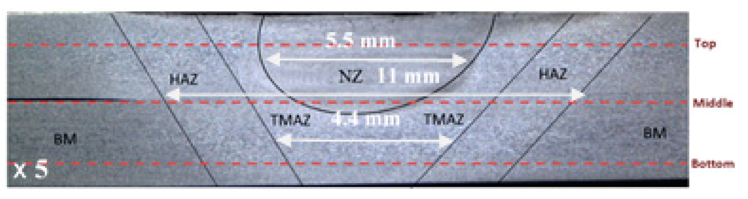 Preprints 107295 g004