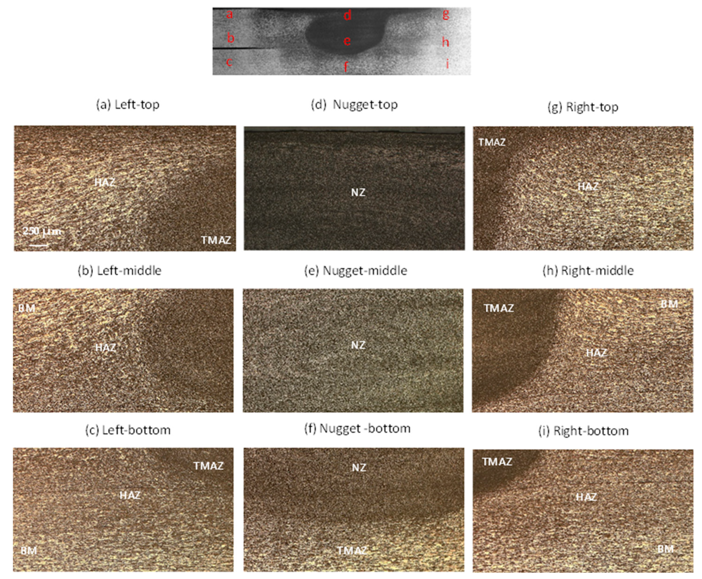 Preprints 107295 g010