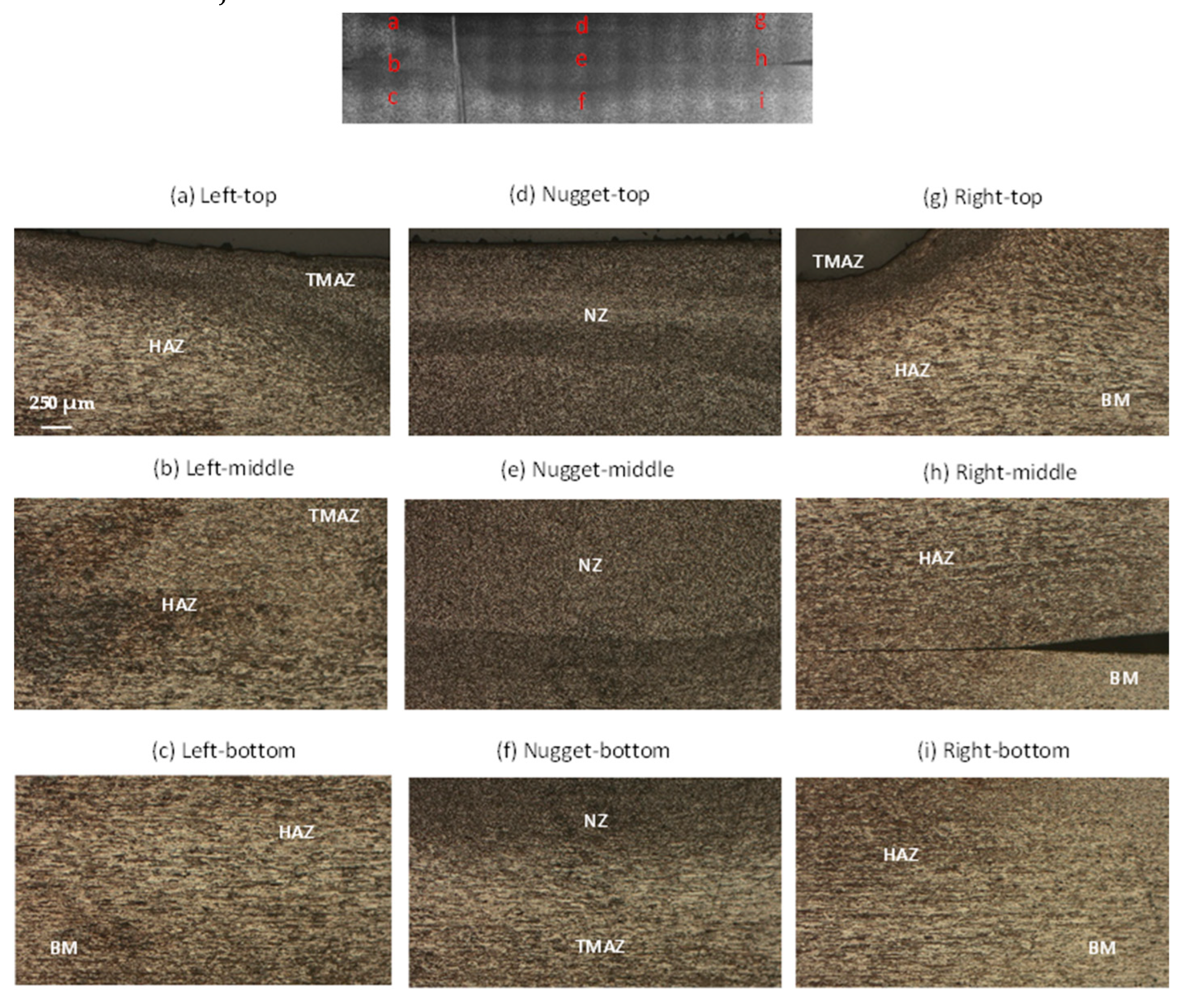 Preprints 107295 g012