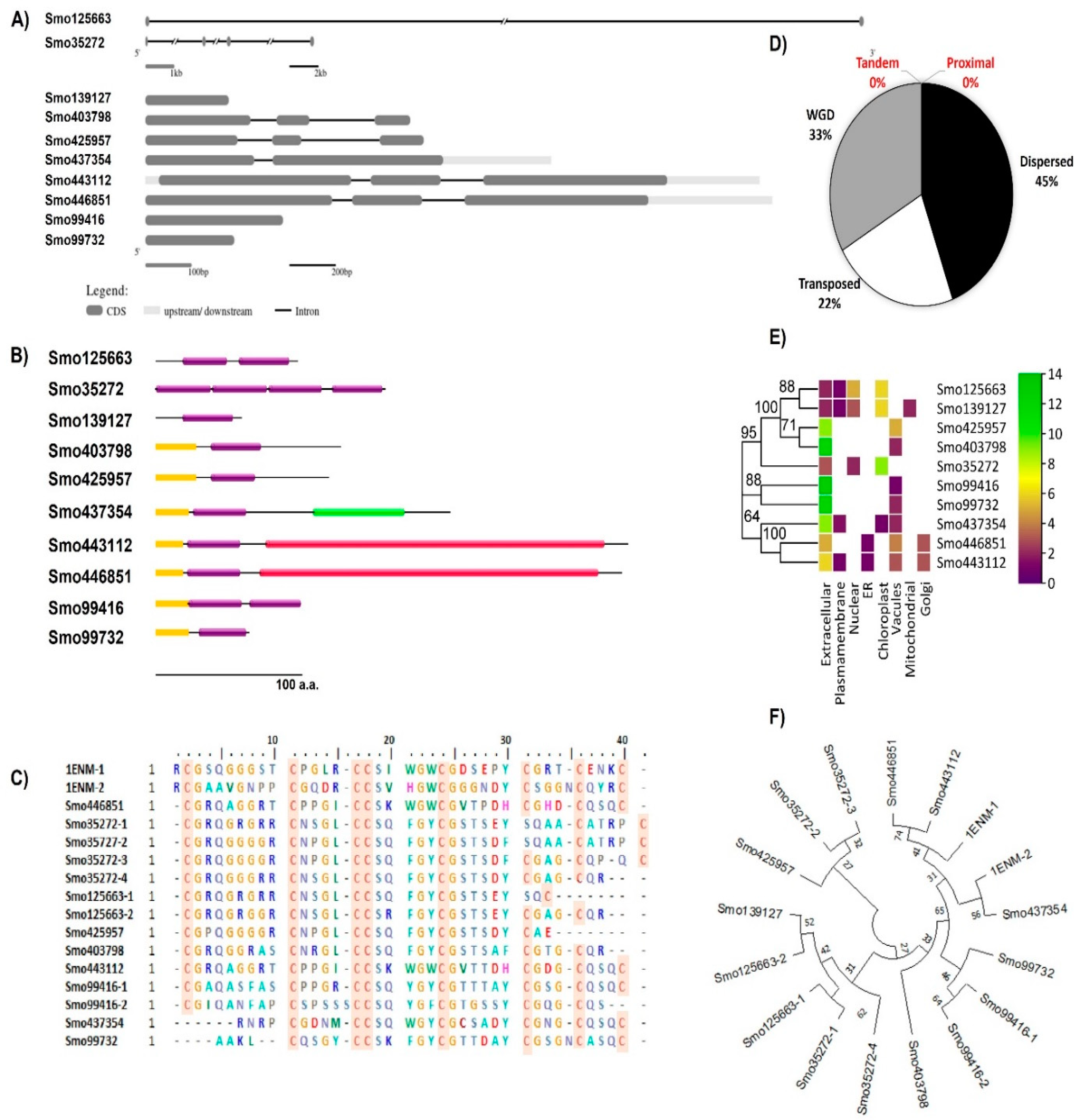 Preprints 71316 g001