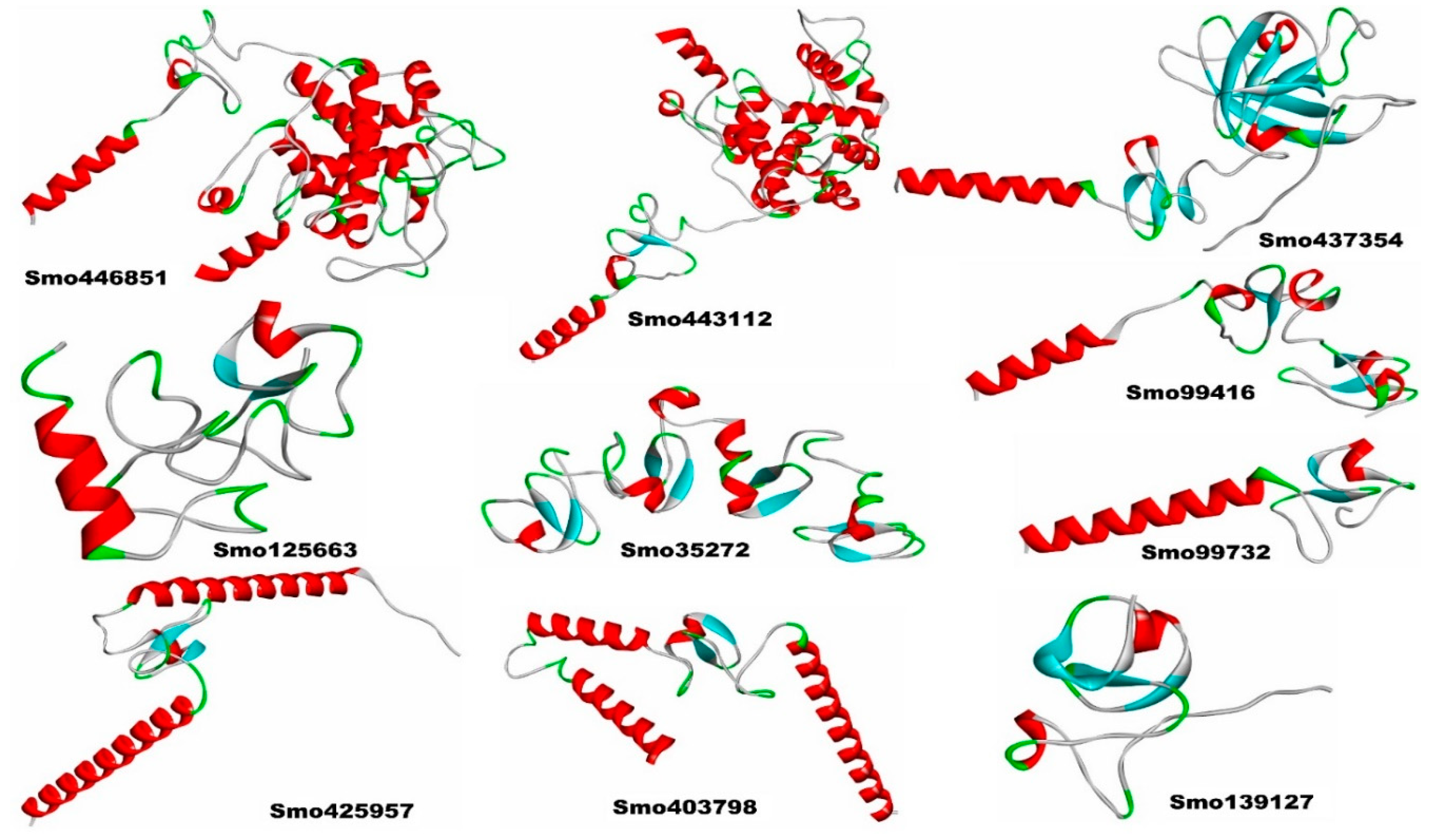 Preprints 71316 g002