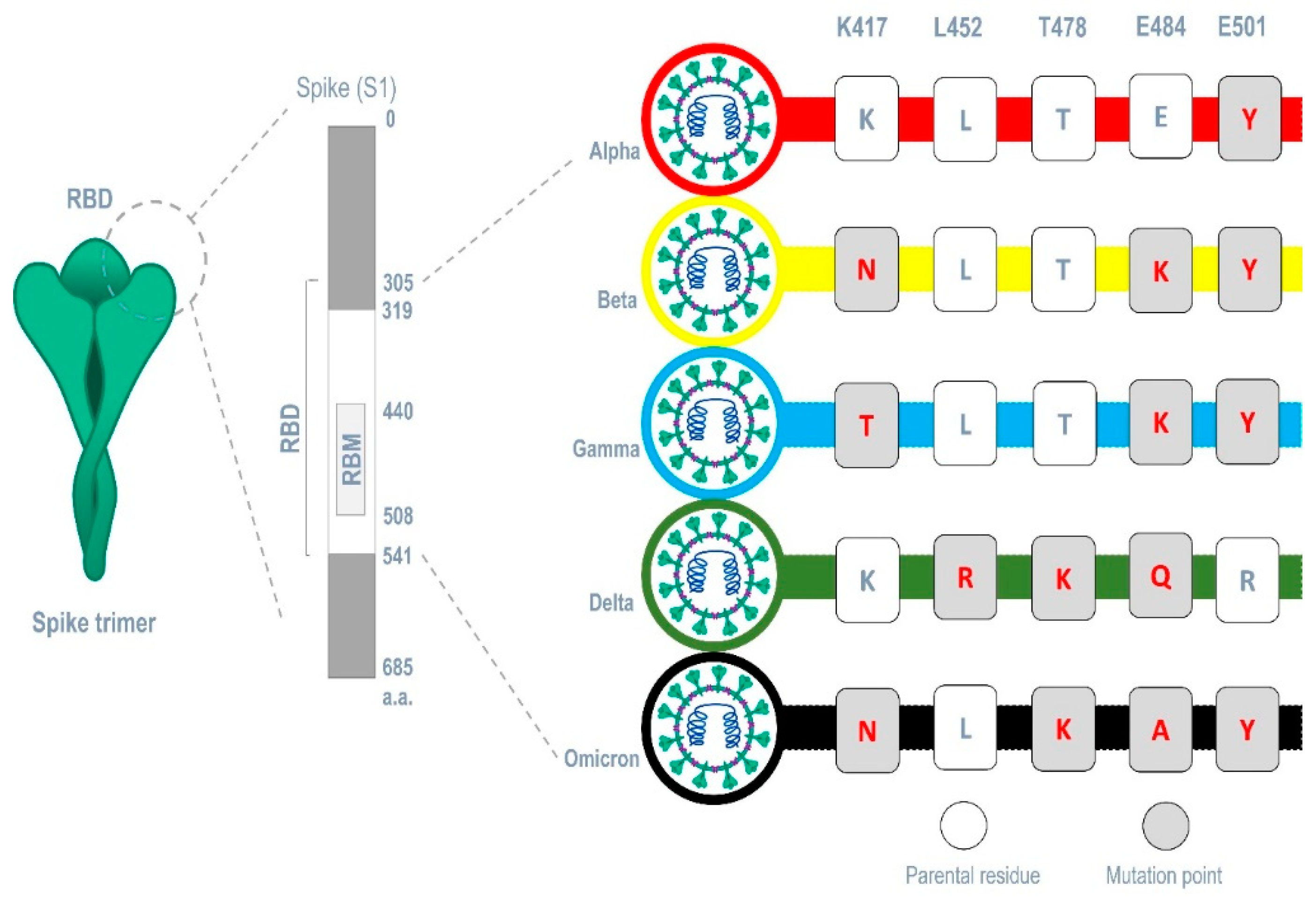 Preprints 71316 g005