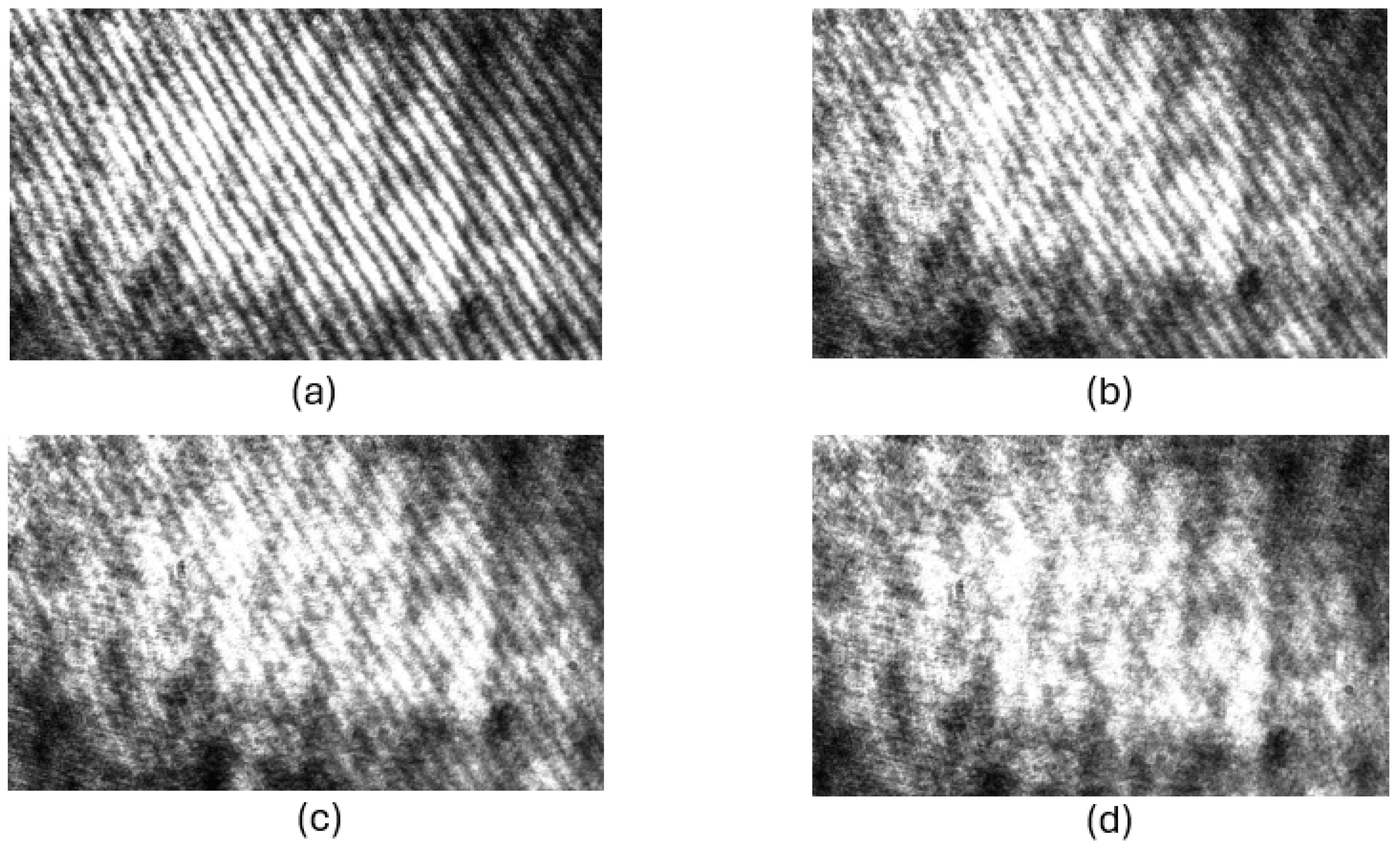 Preprints 102913 g006