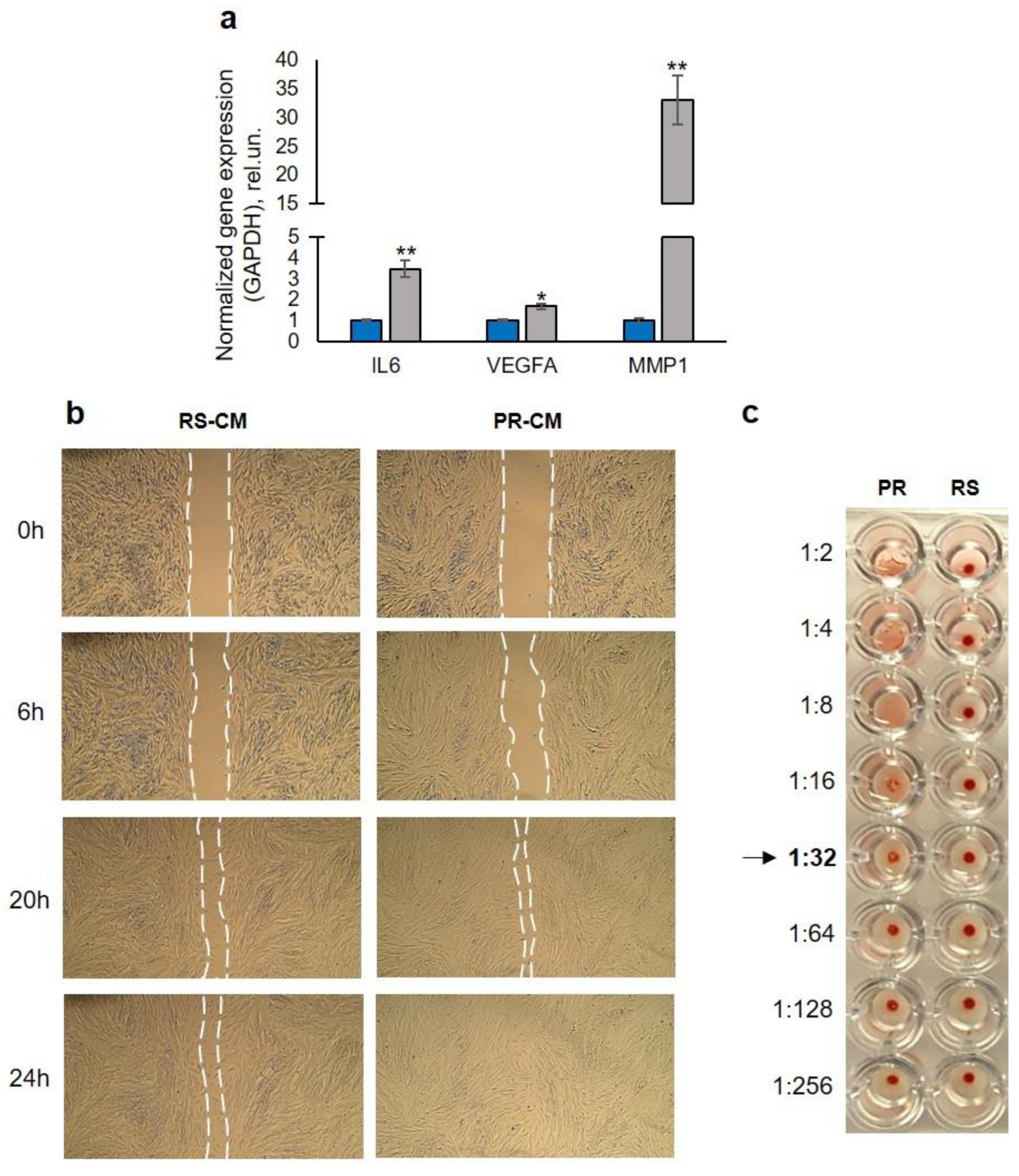 Preprints 120730 g003